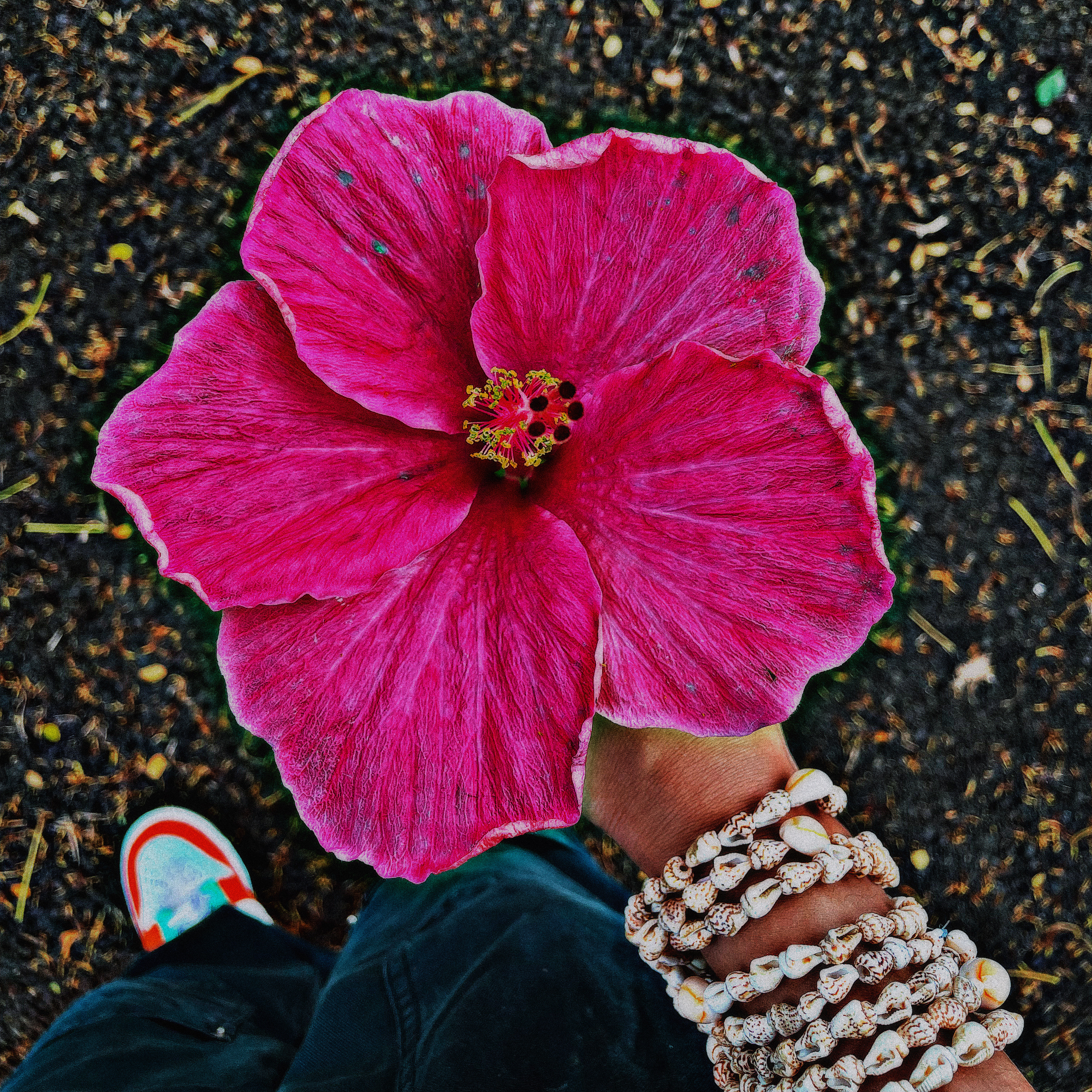 care free artwork