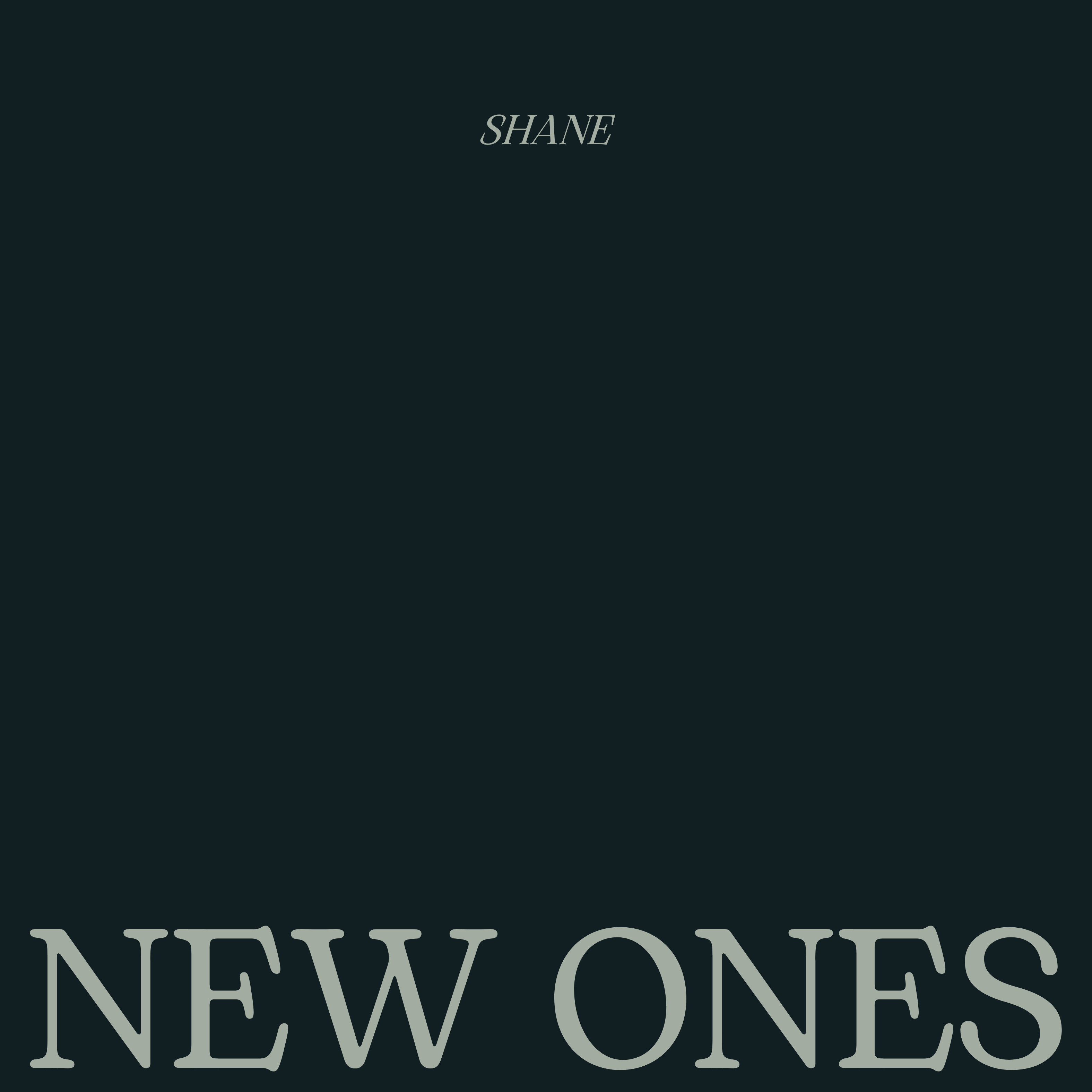New Ones artwork
