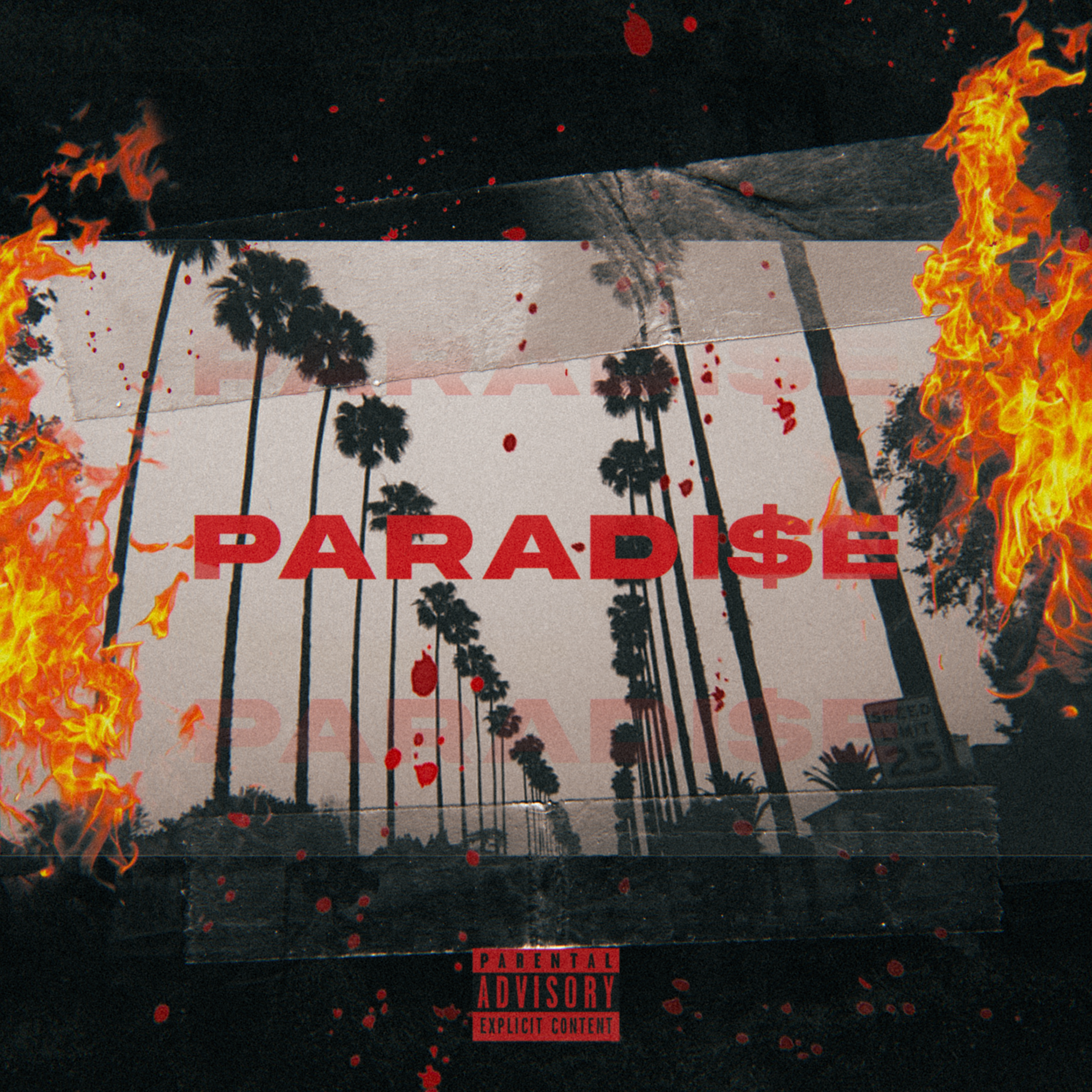 PARADISE artwork