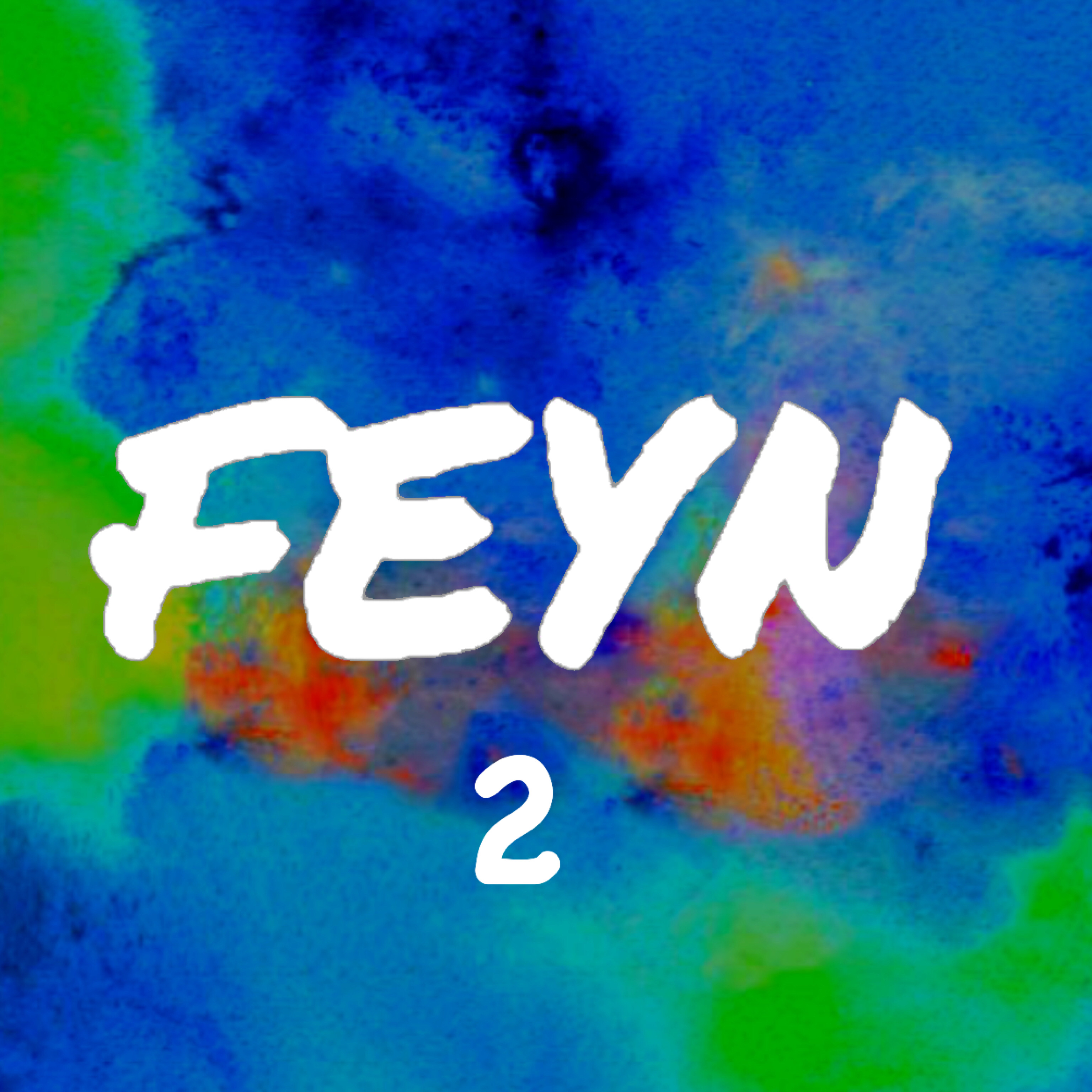 FEYN 2 artwork