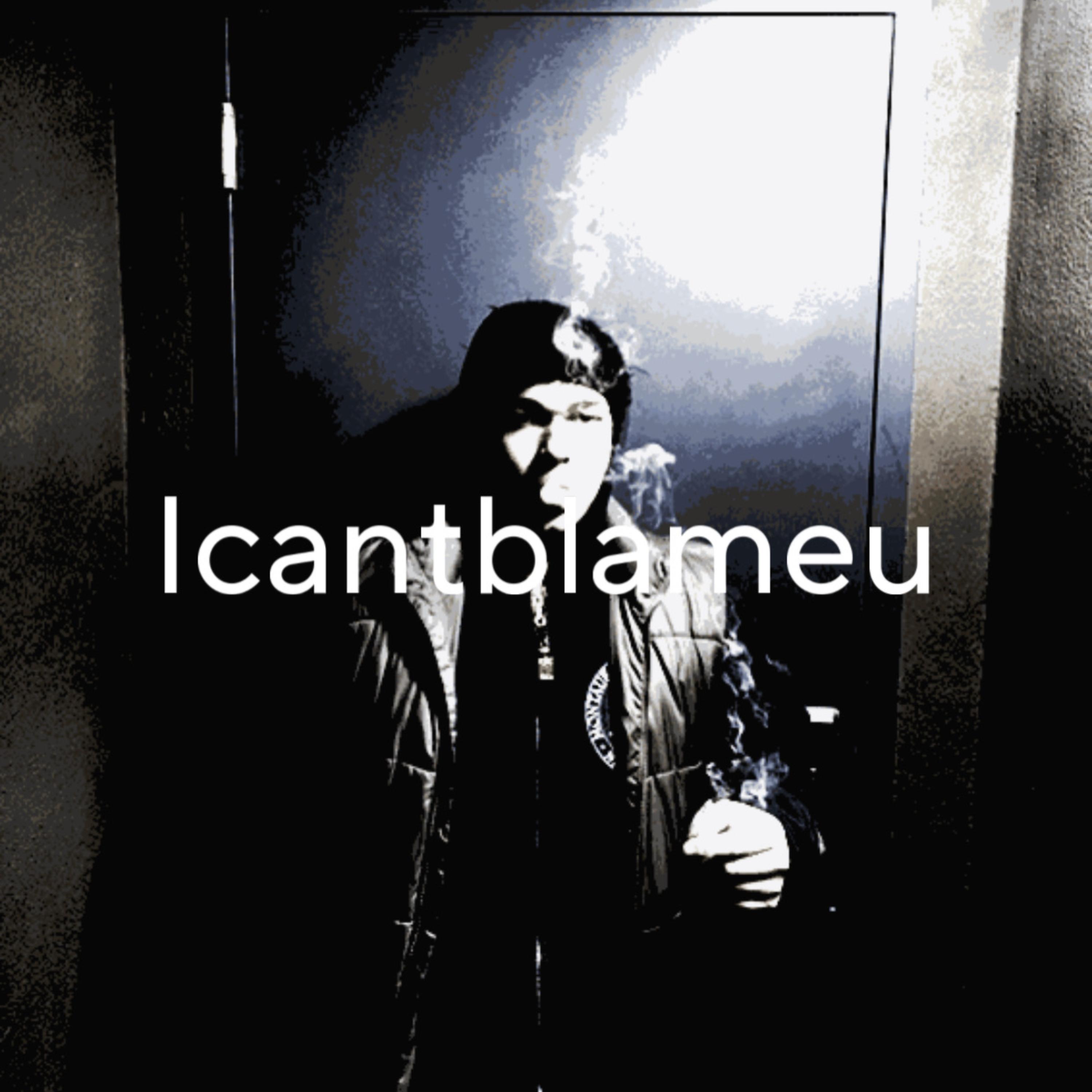 Icantblameu artwork