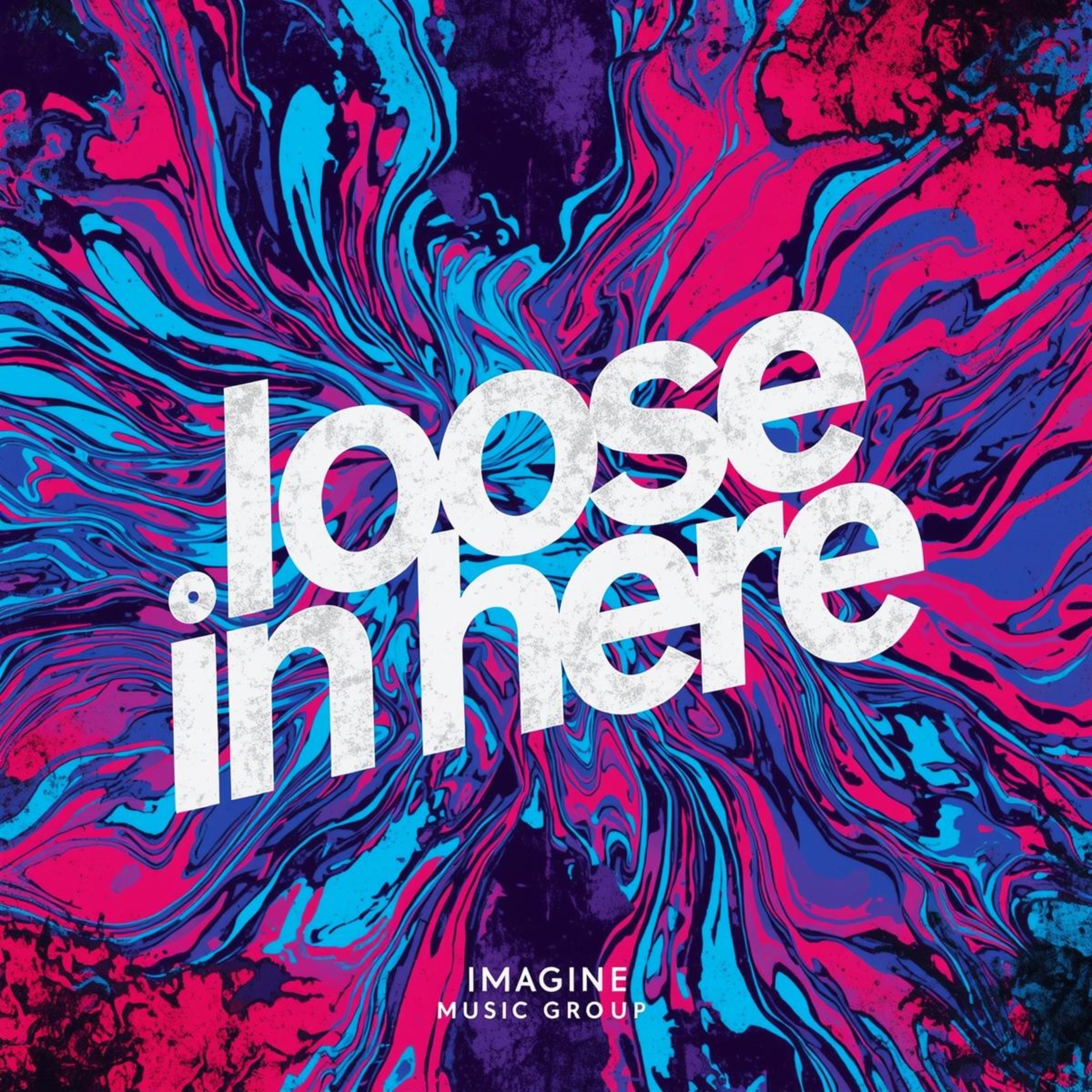LOOSE IN HERE artwork