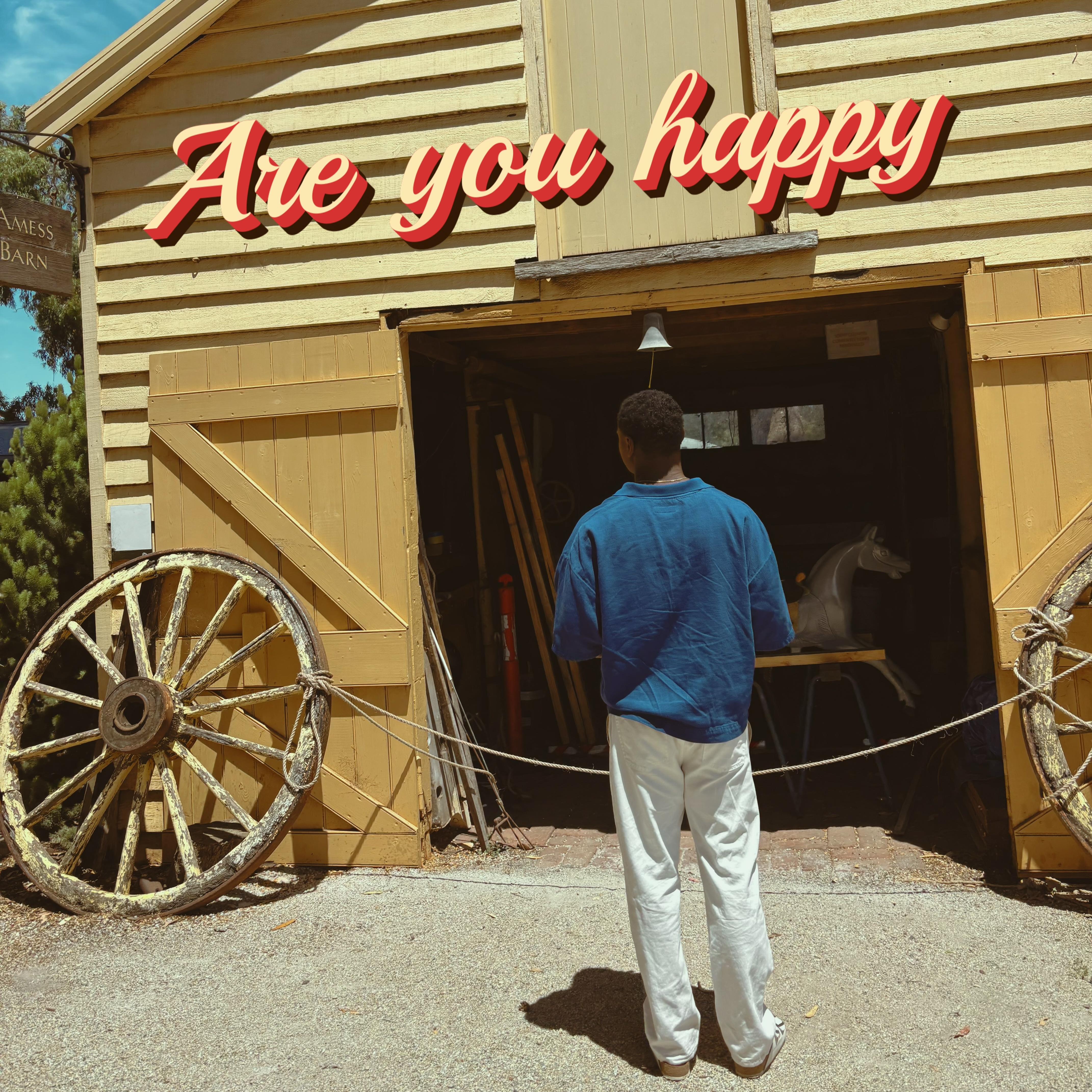 Are You Happy artwork