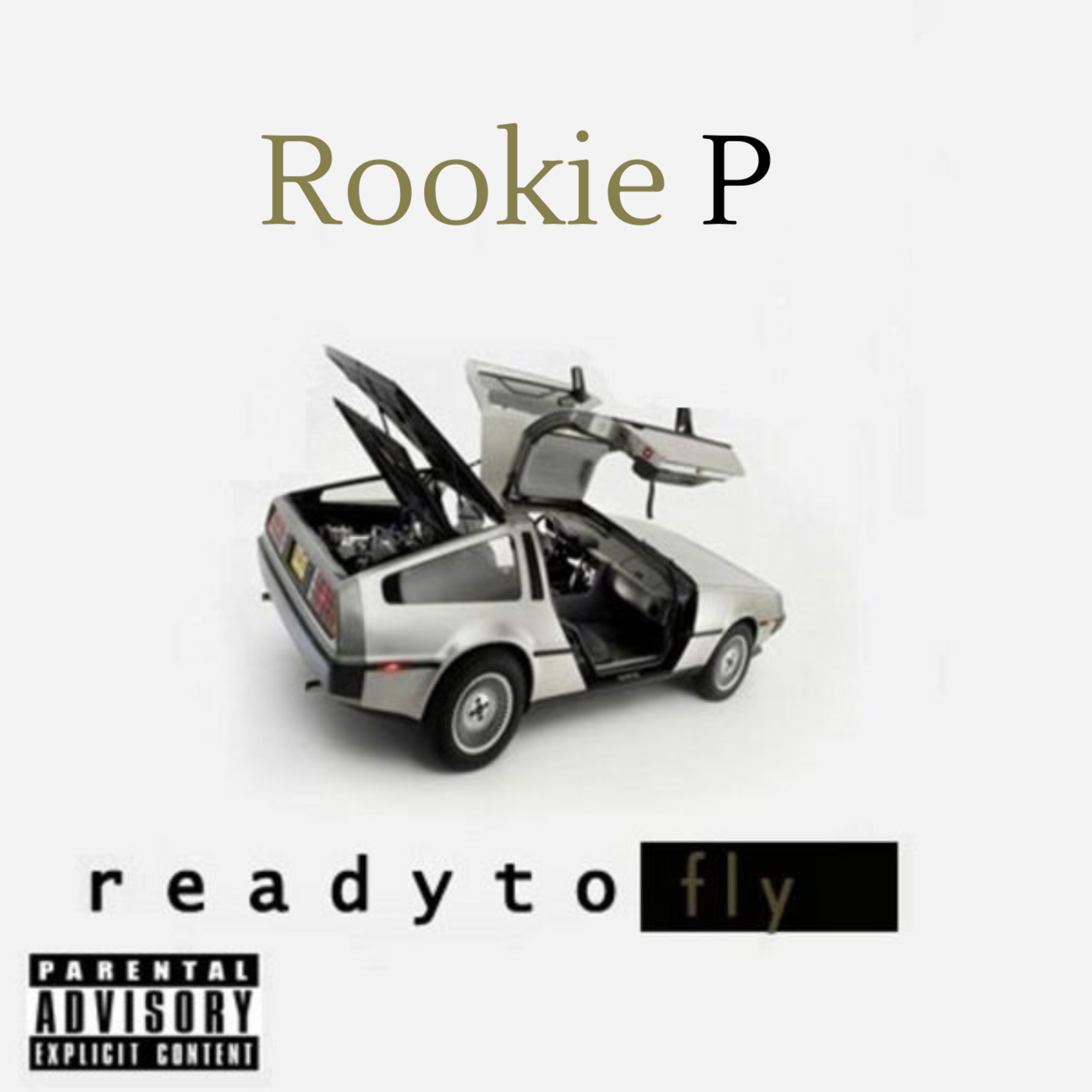 Ready to fly artwork