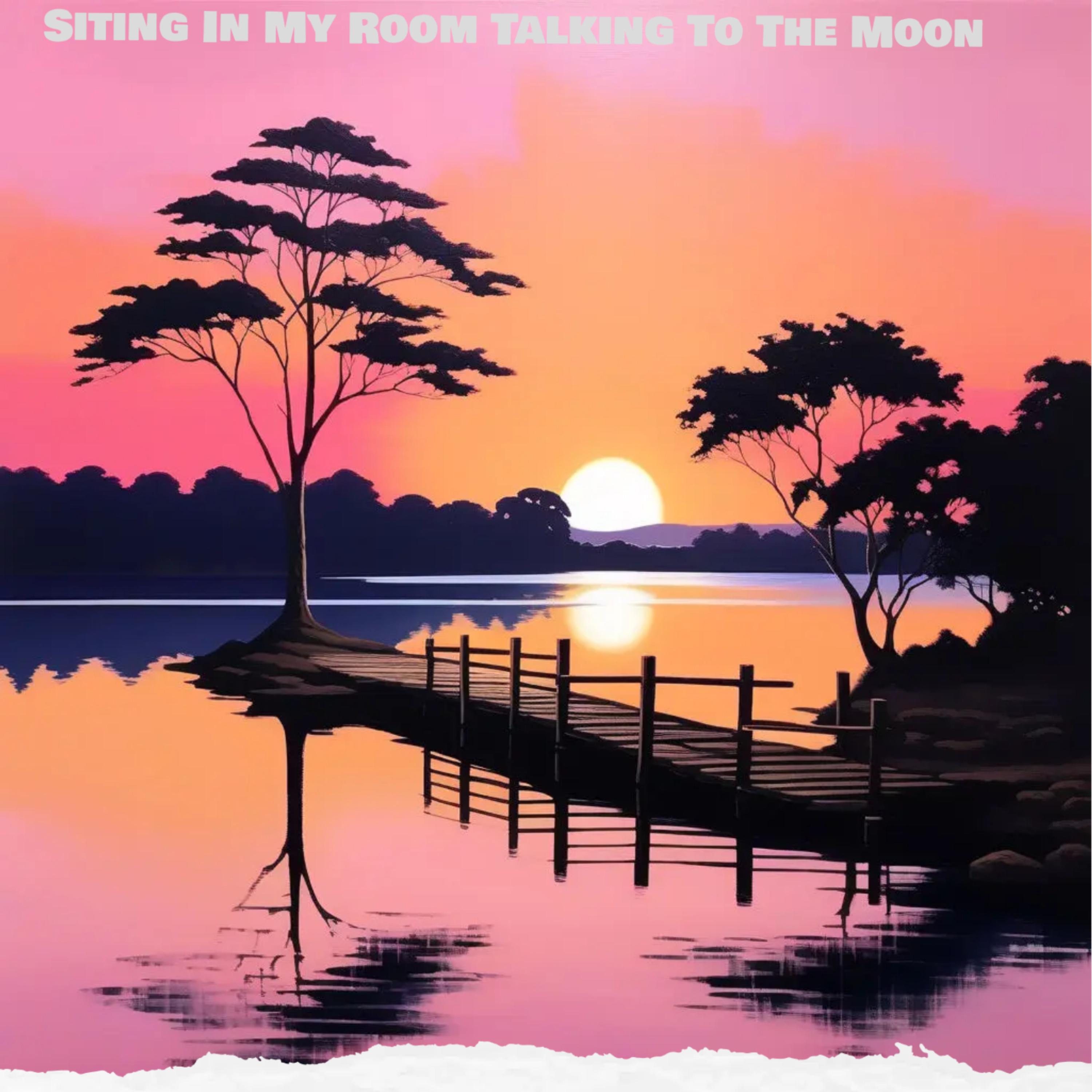 Siting In My Room Talking To The Moon artwork
