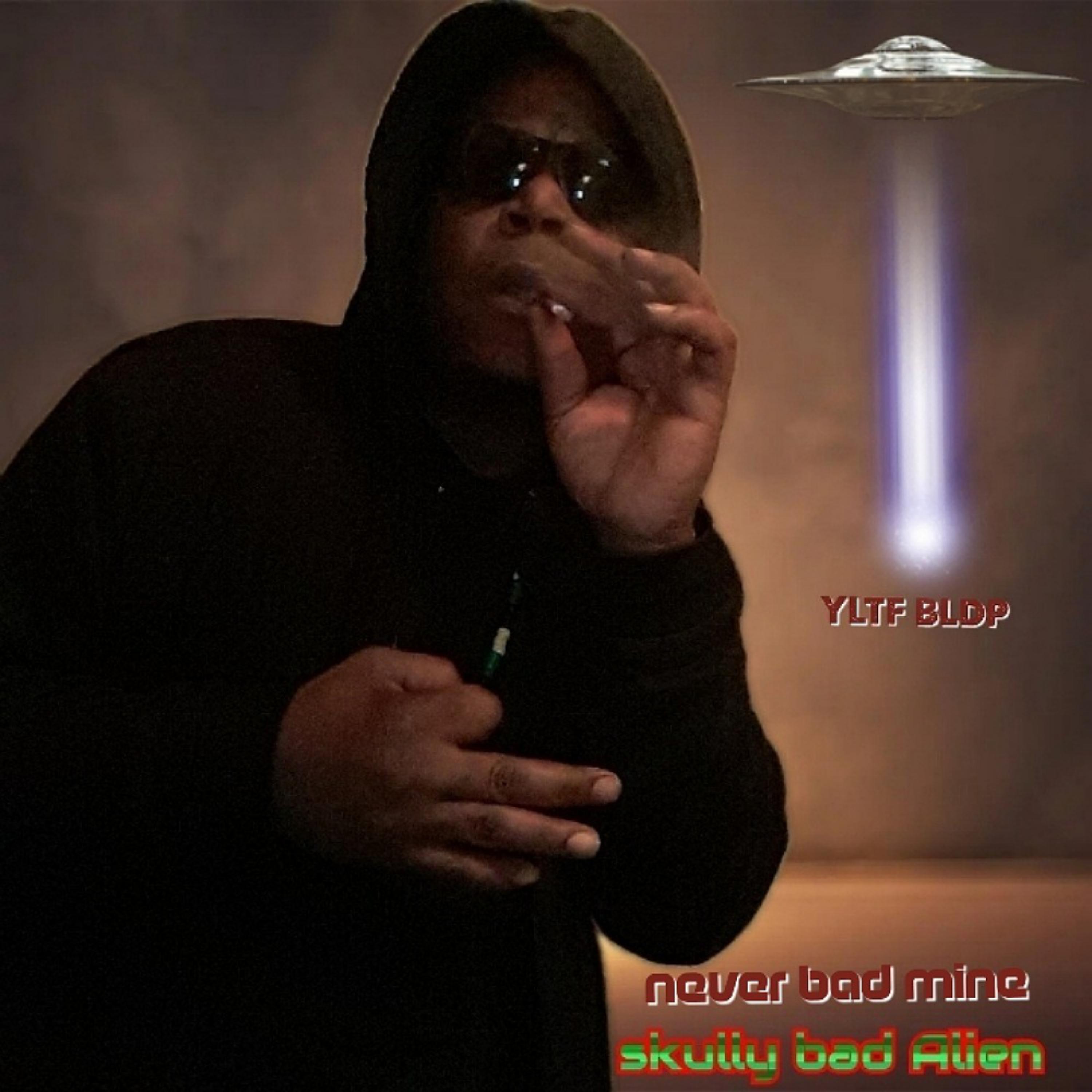 never bad mine artwork