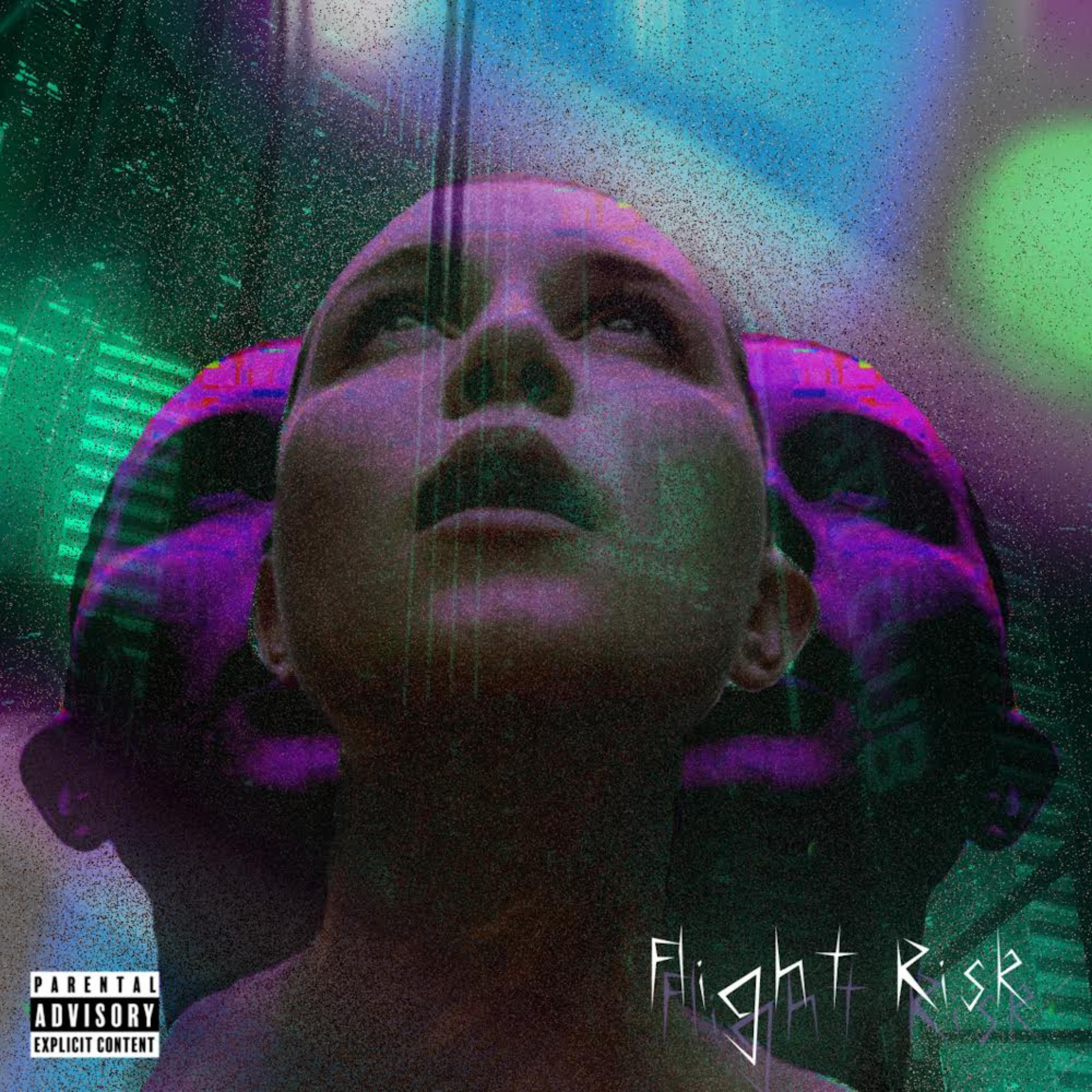 Flight Risk artwork