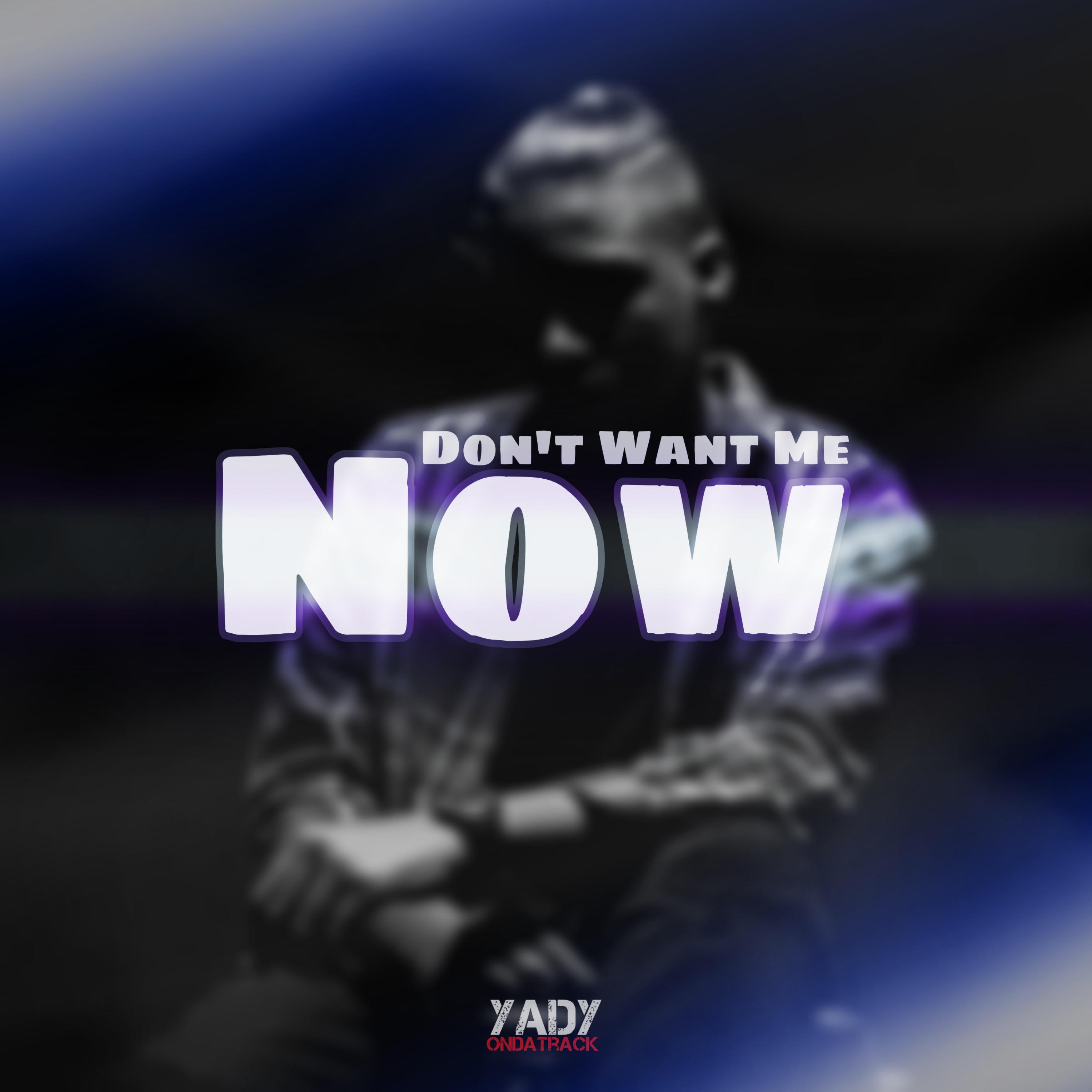 Don't Want Me Now  artwork