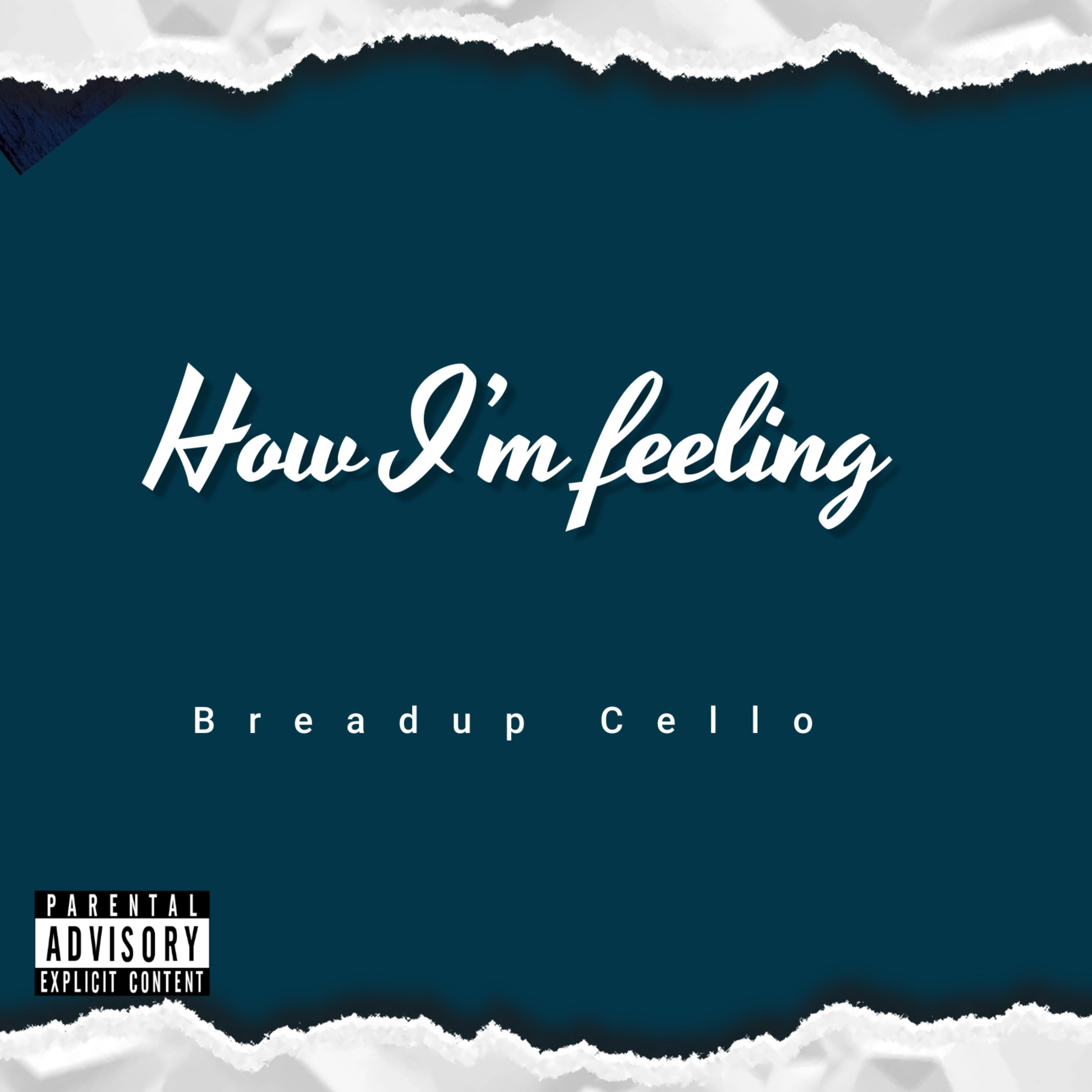 How Im Feeling artwork