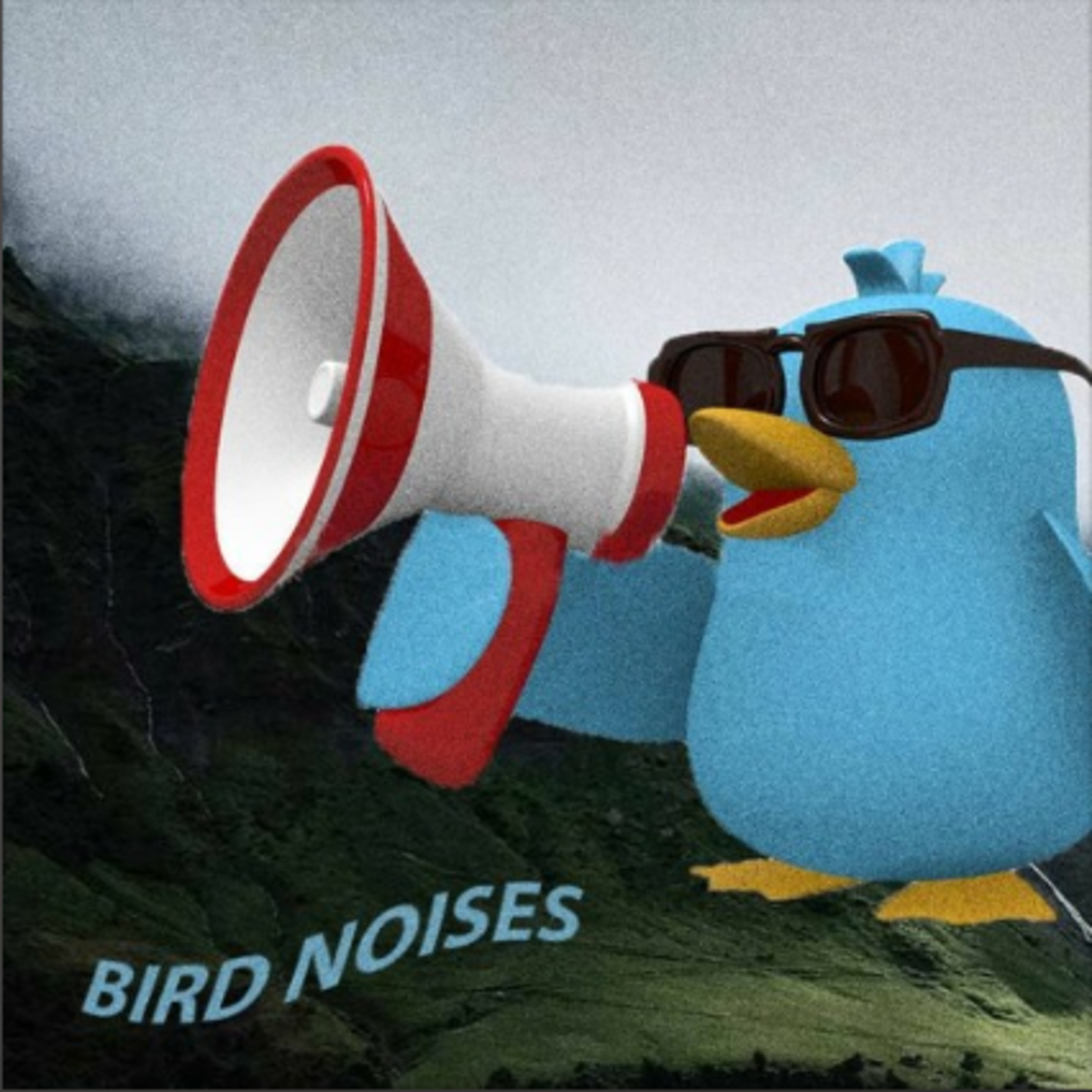 Bird Noises artwork