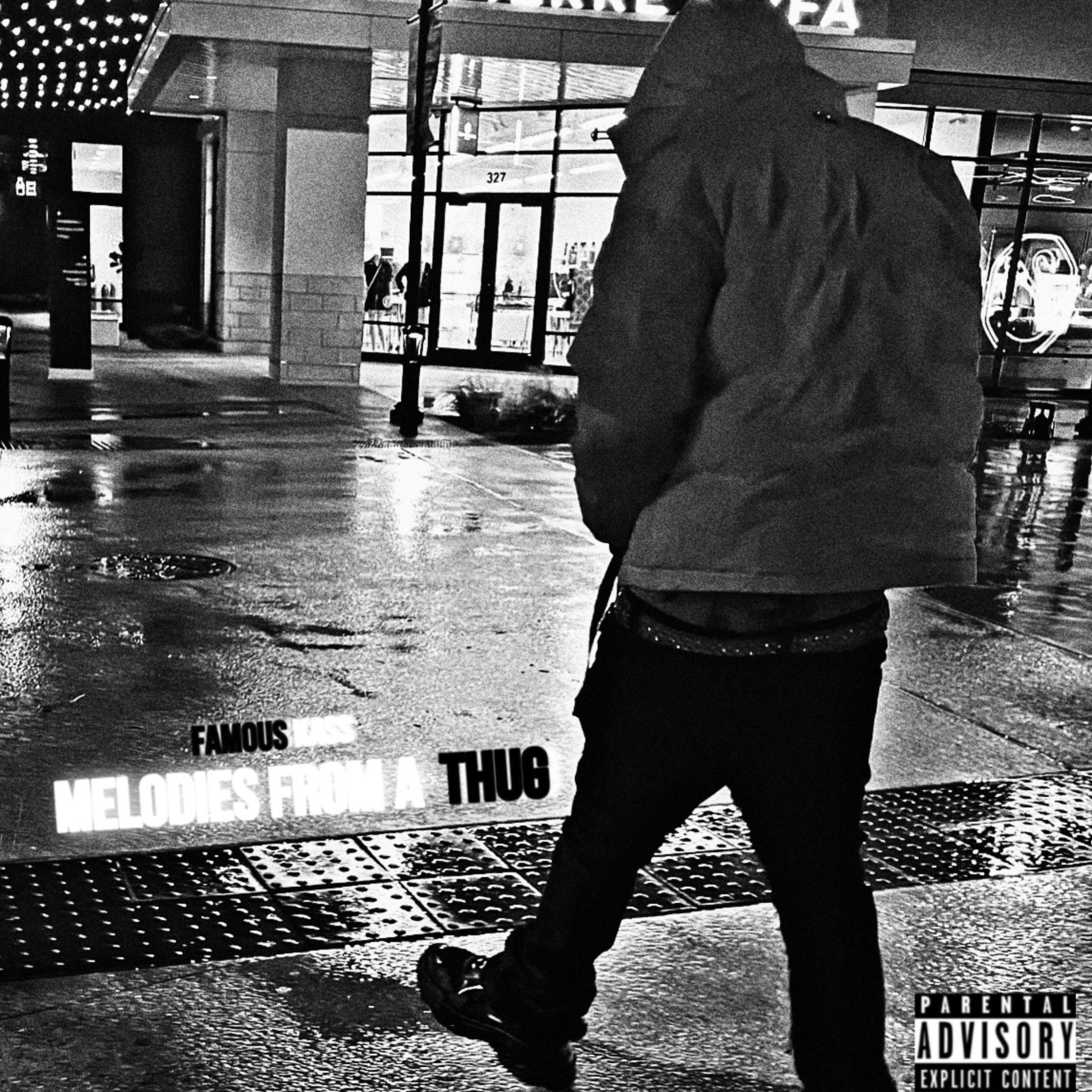 MELODIES FROM A THUG artwork