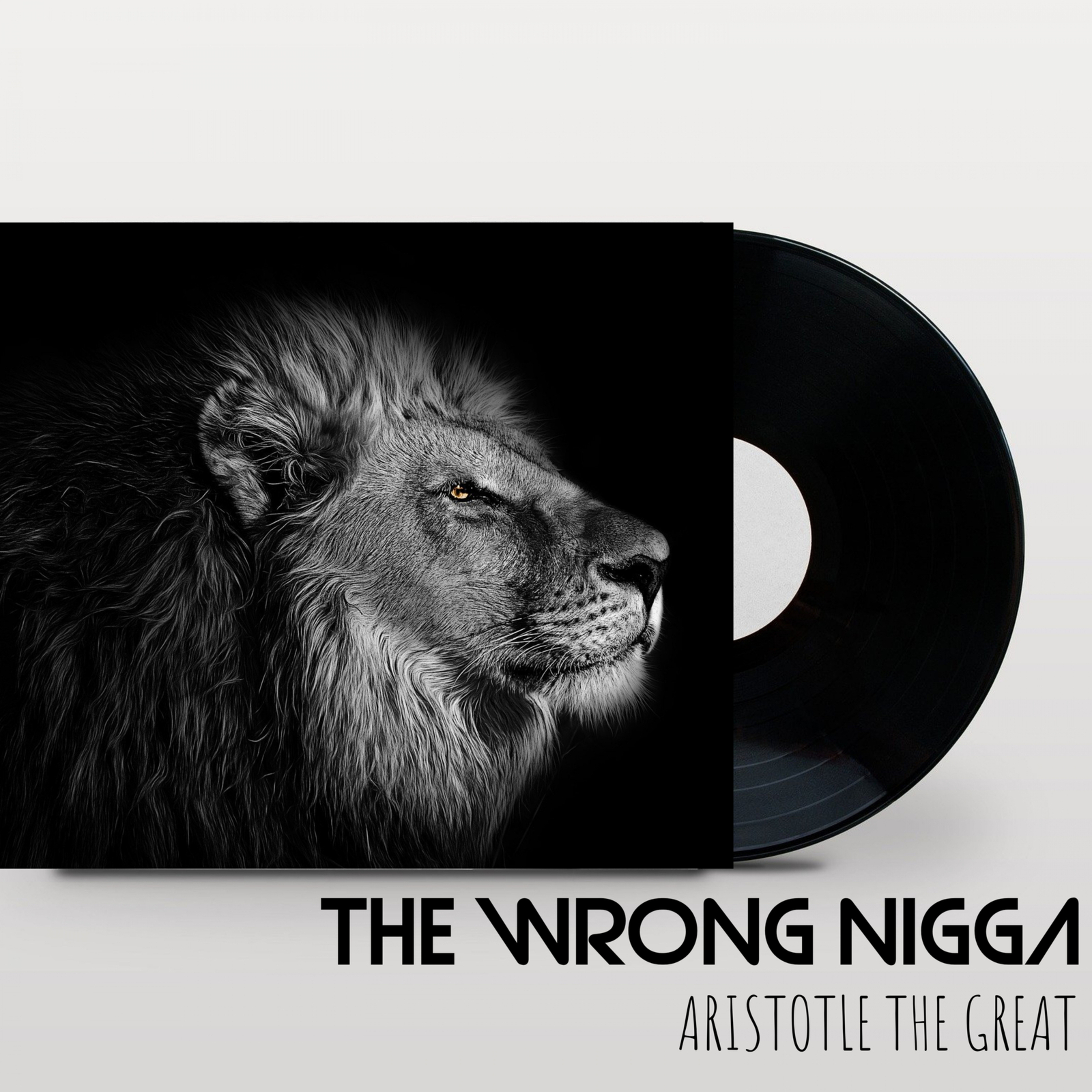 Wrong Nigga artwork