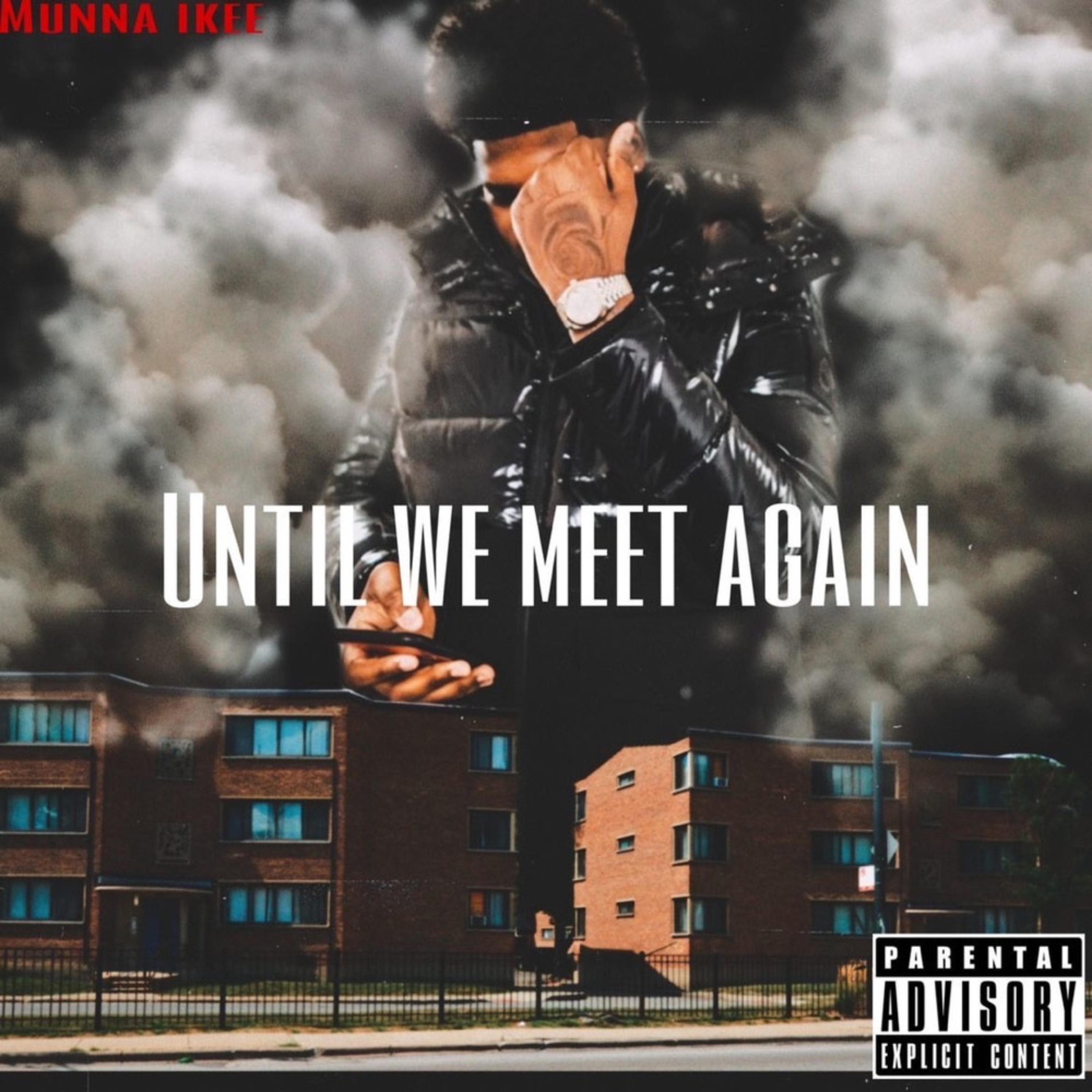 Until We Meet Again artwork