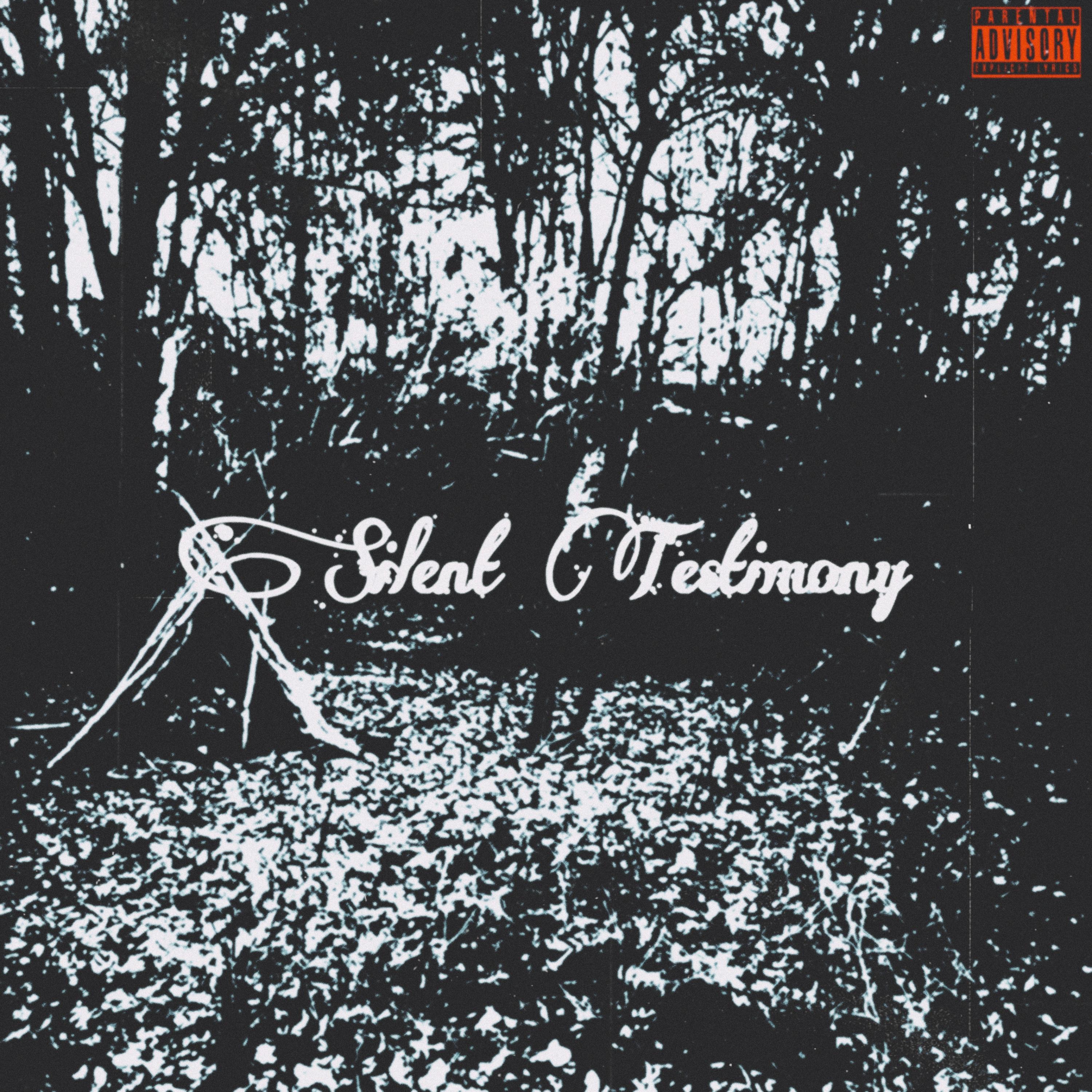 Silent Testimony artwork