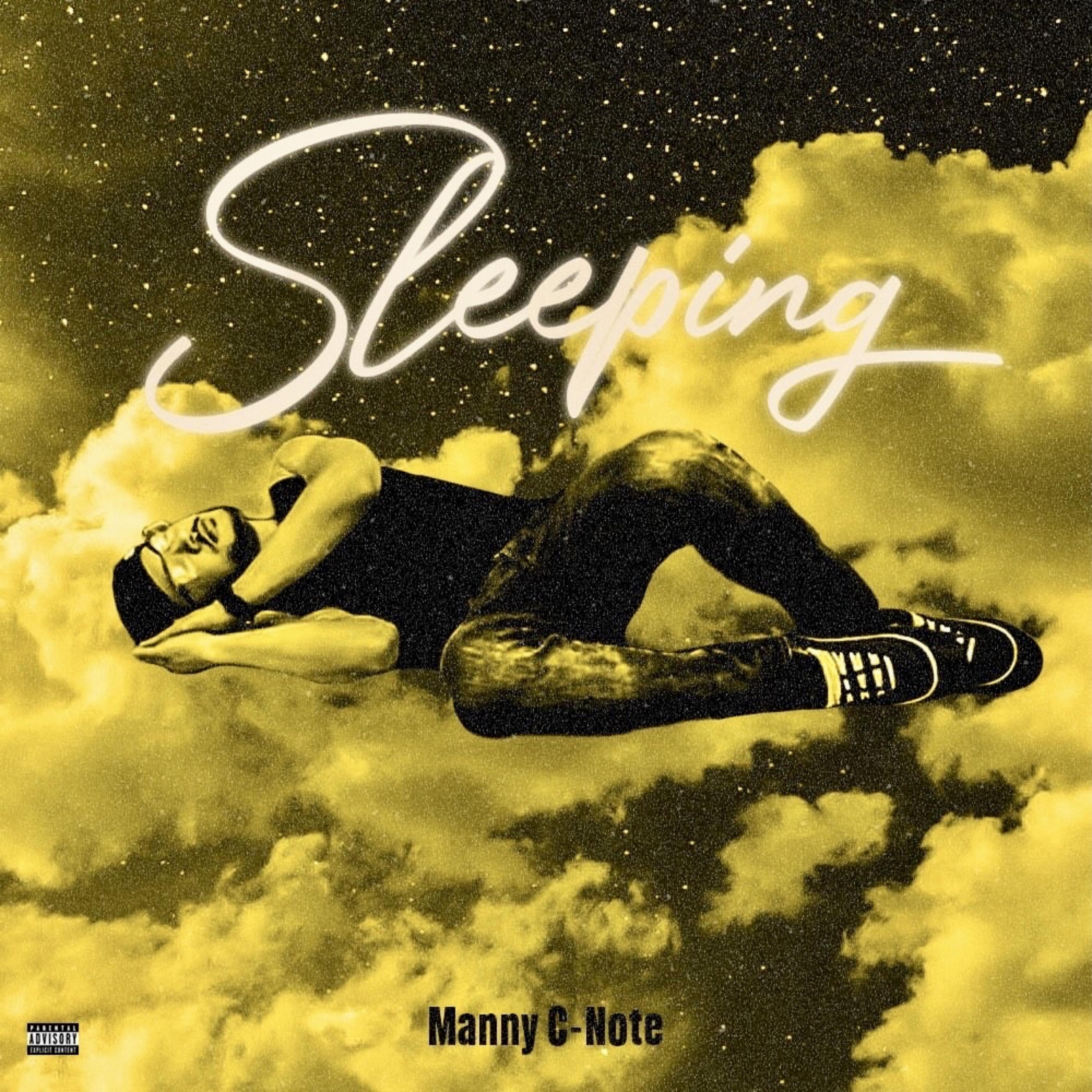 Sleeping artwork