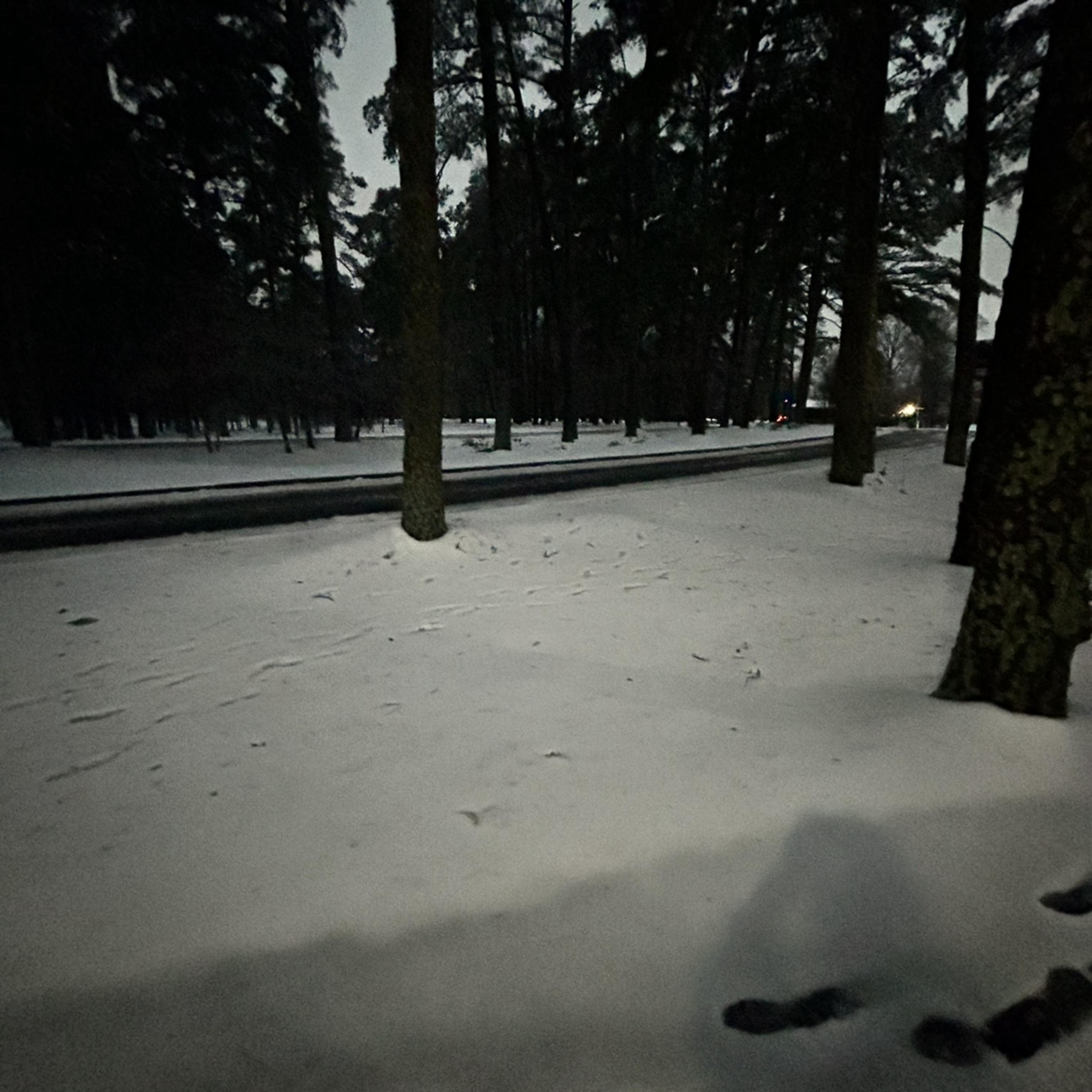 Retro In Da Snow by SkootaB cover art