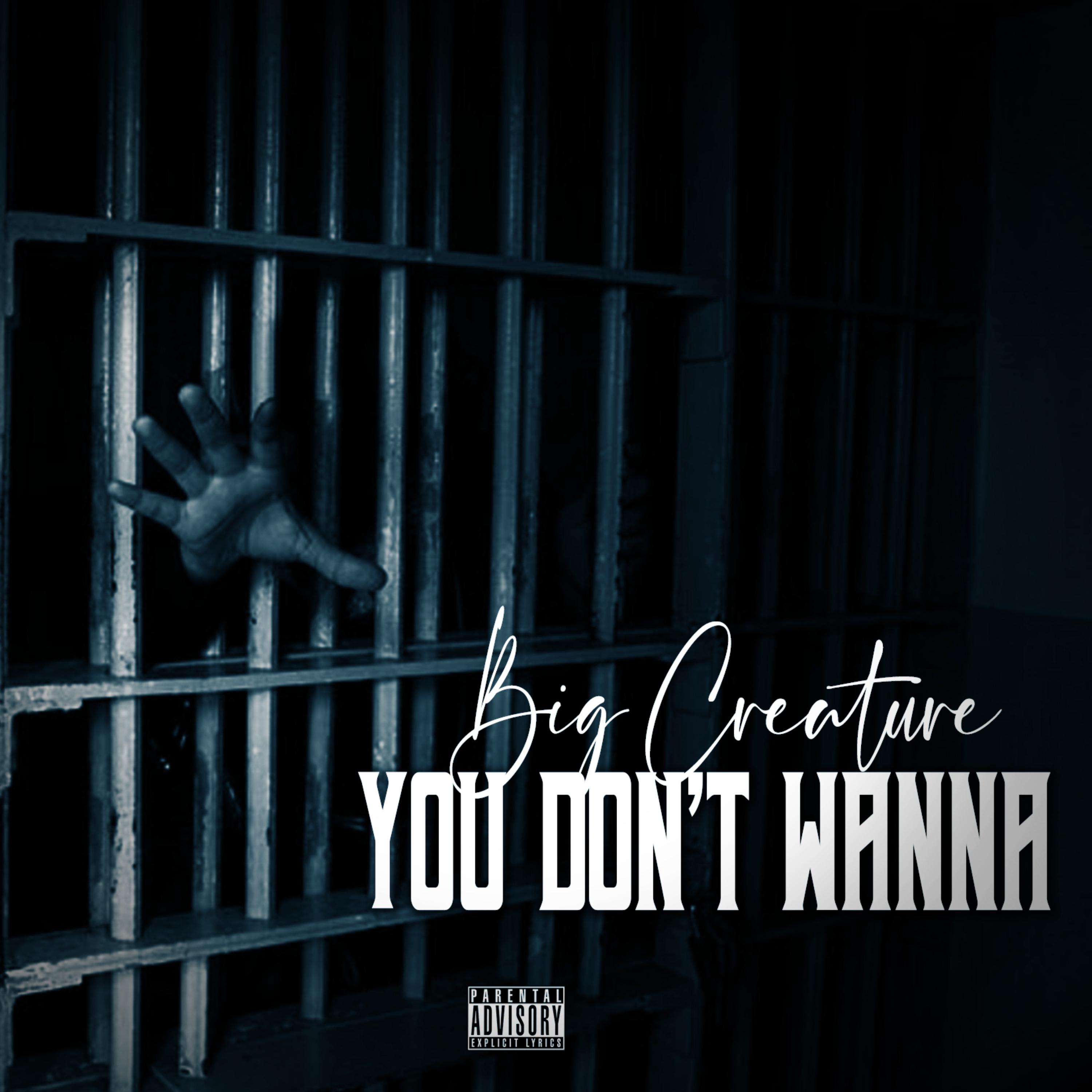 You Don't Wanna artwork