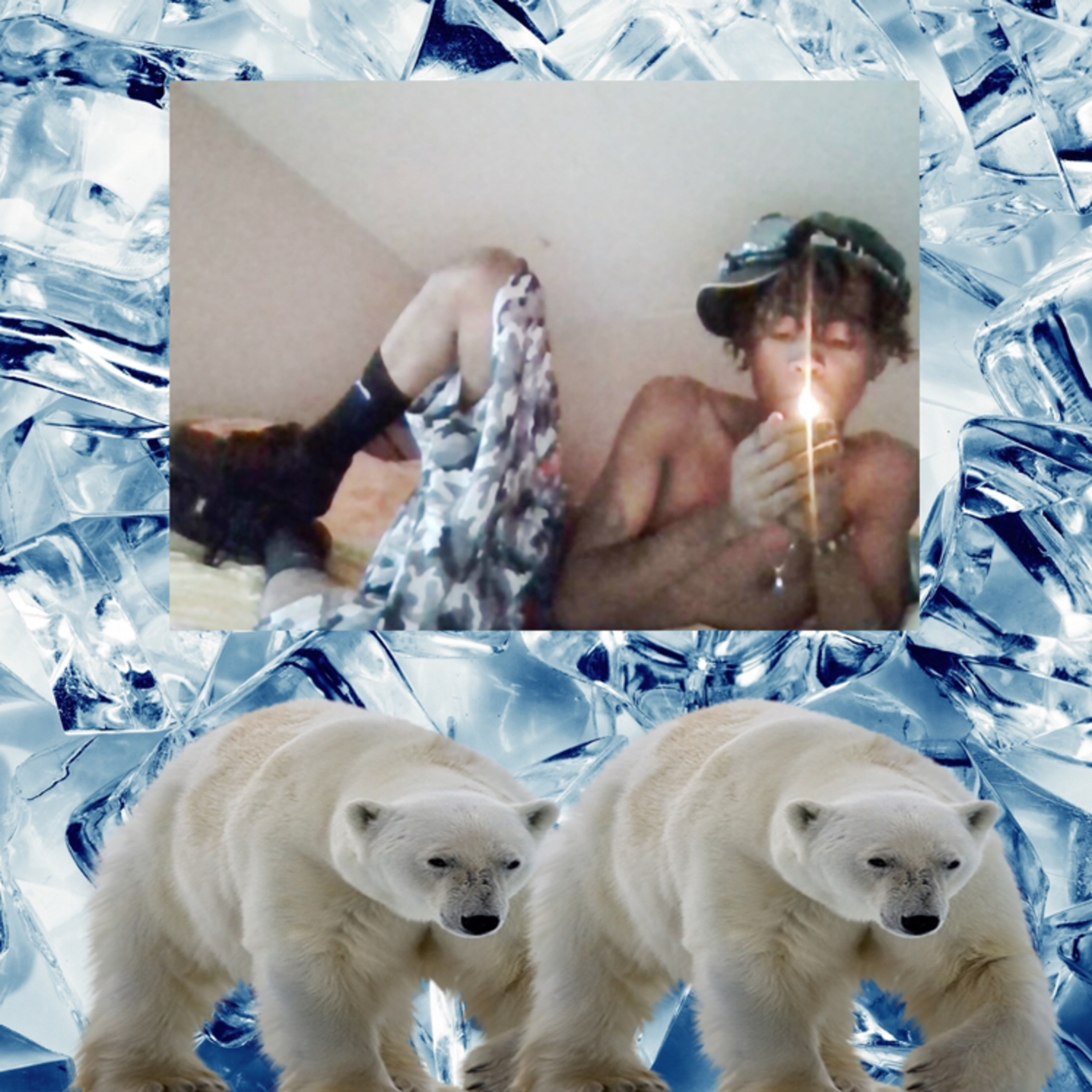 Polar Bear artwork