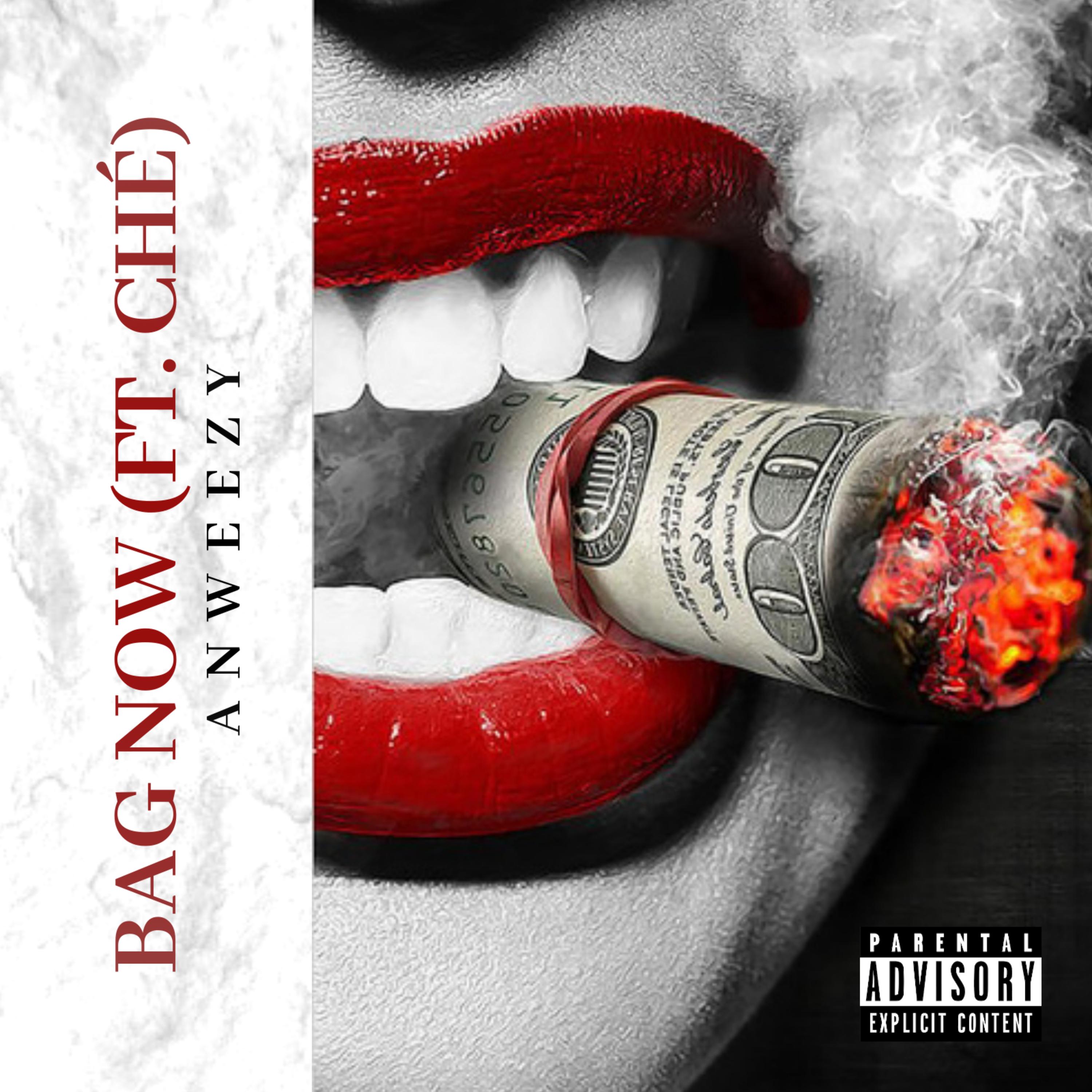 Bag Now by Anweezy cover art