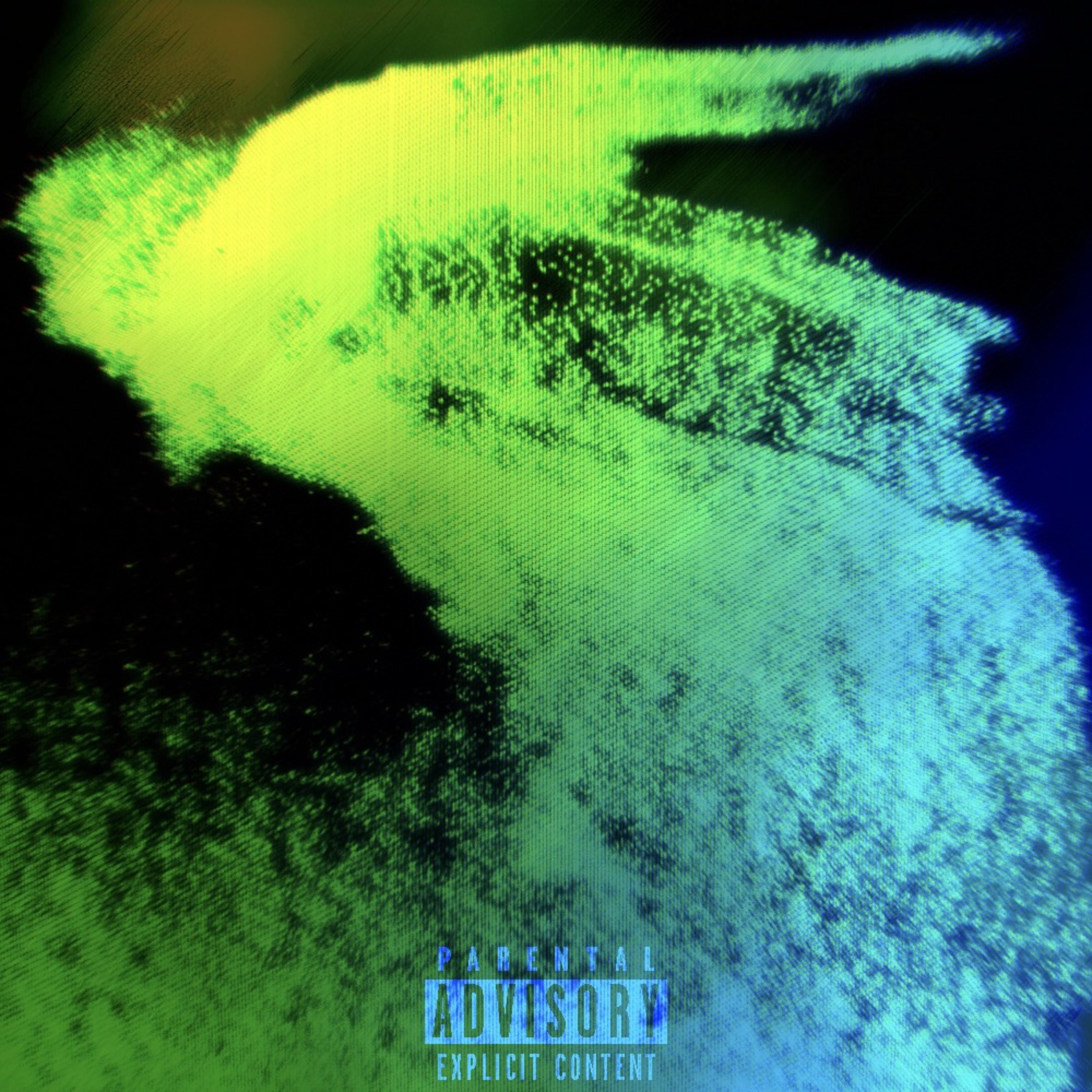 Rolluponha P.Savionmadethis by Reelu cover art