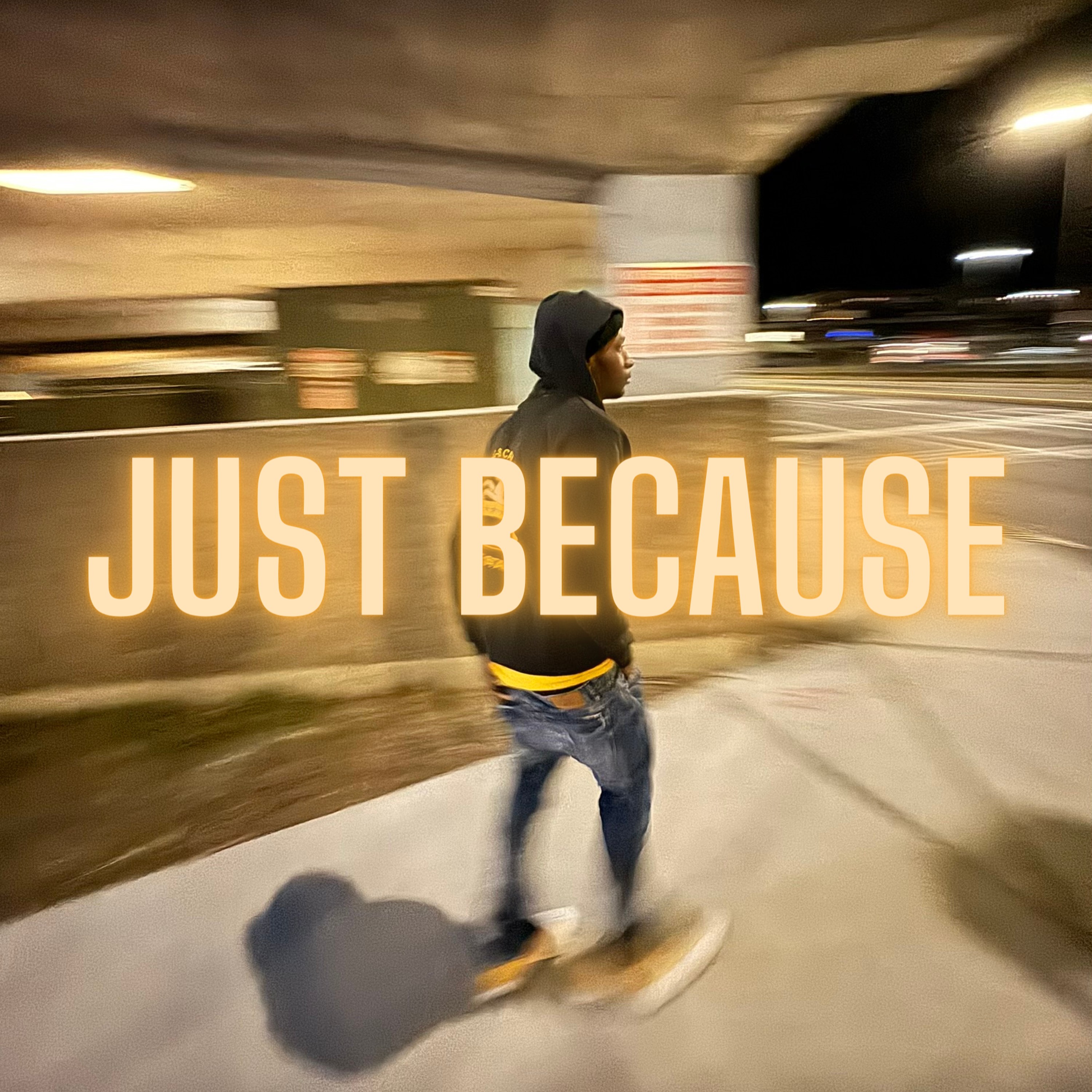 JUST BECAUSE artwork