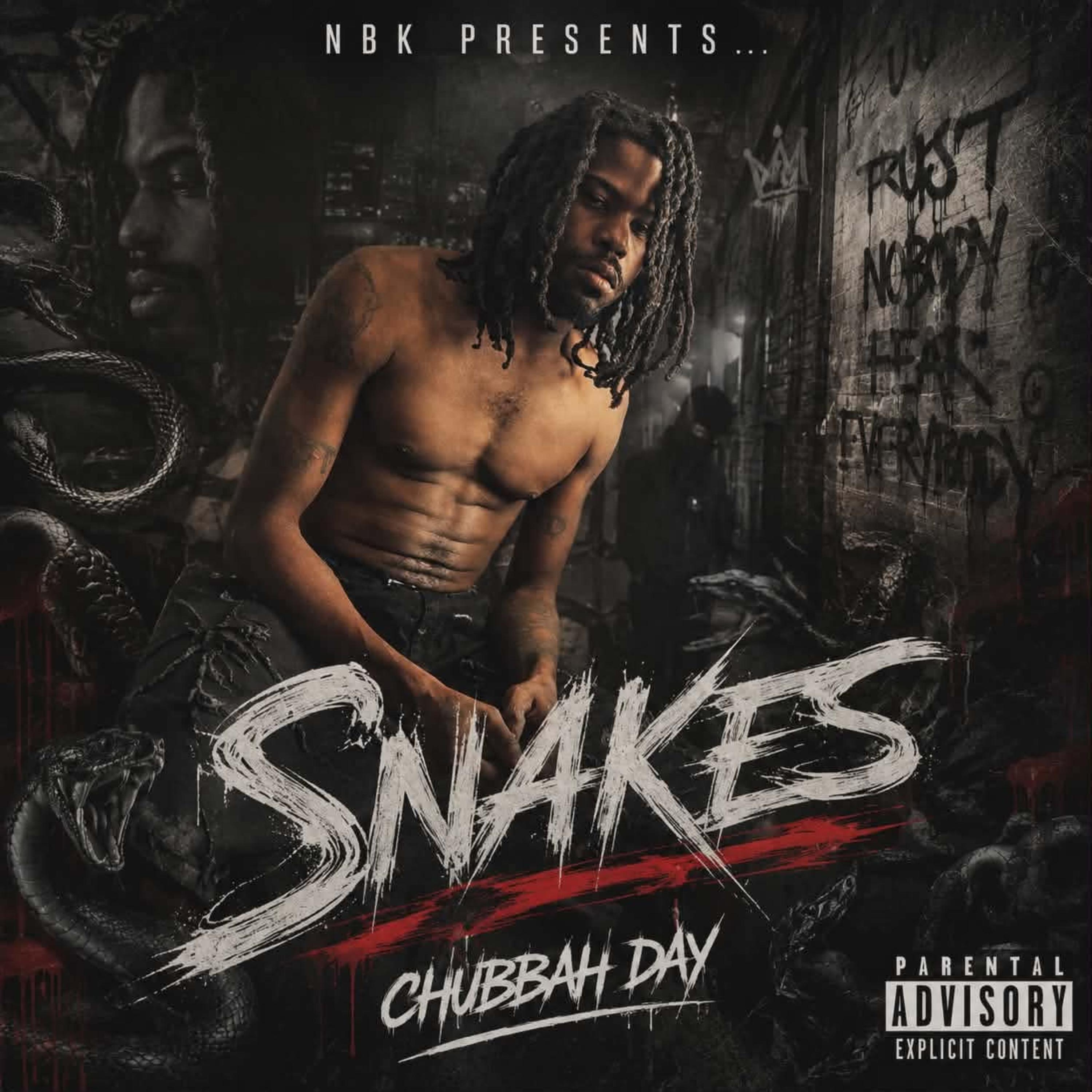 Snake by Chubbah Day cover art