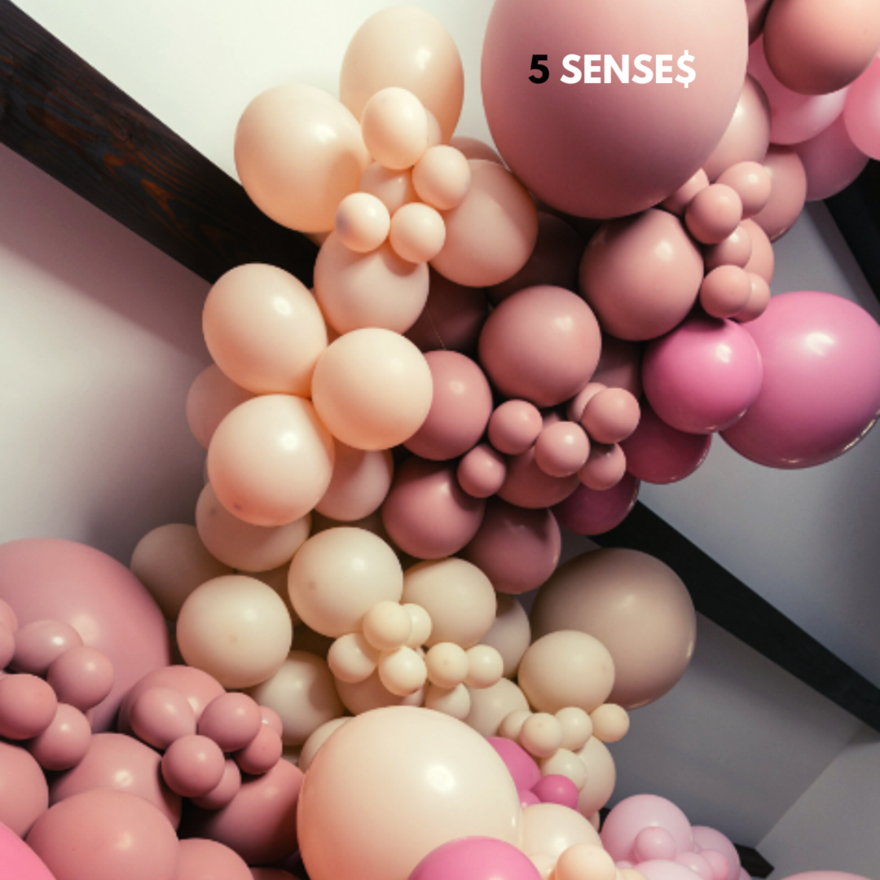 5 Sense$ by A.J. Spitz cover art