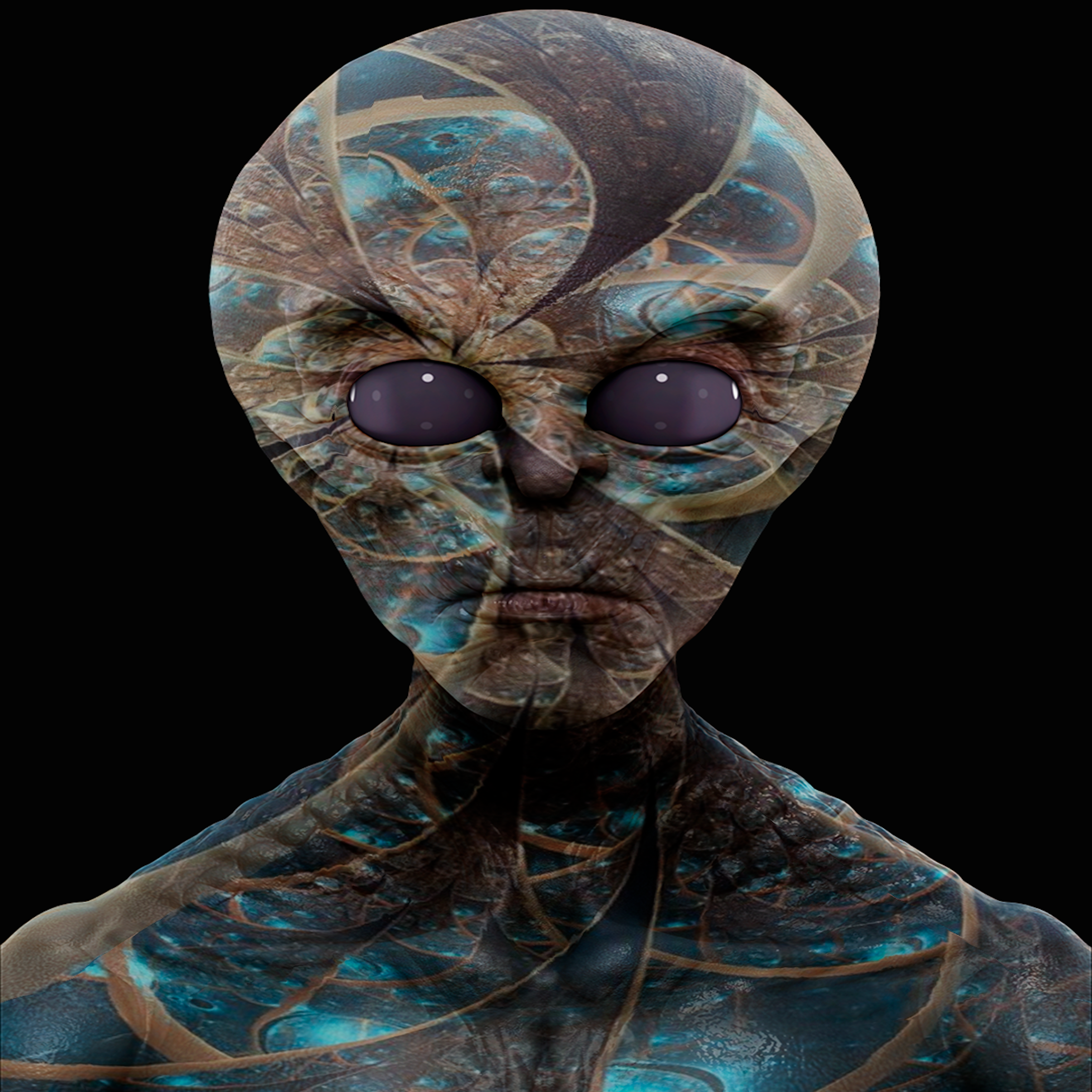 Tatarde artwork