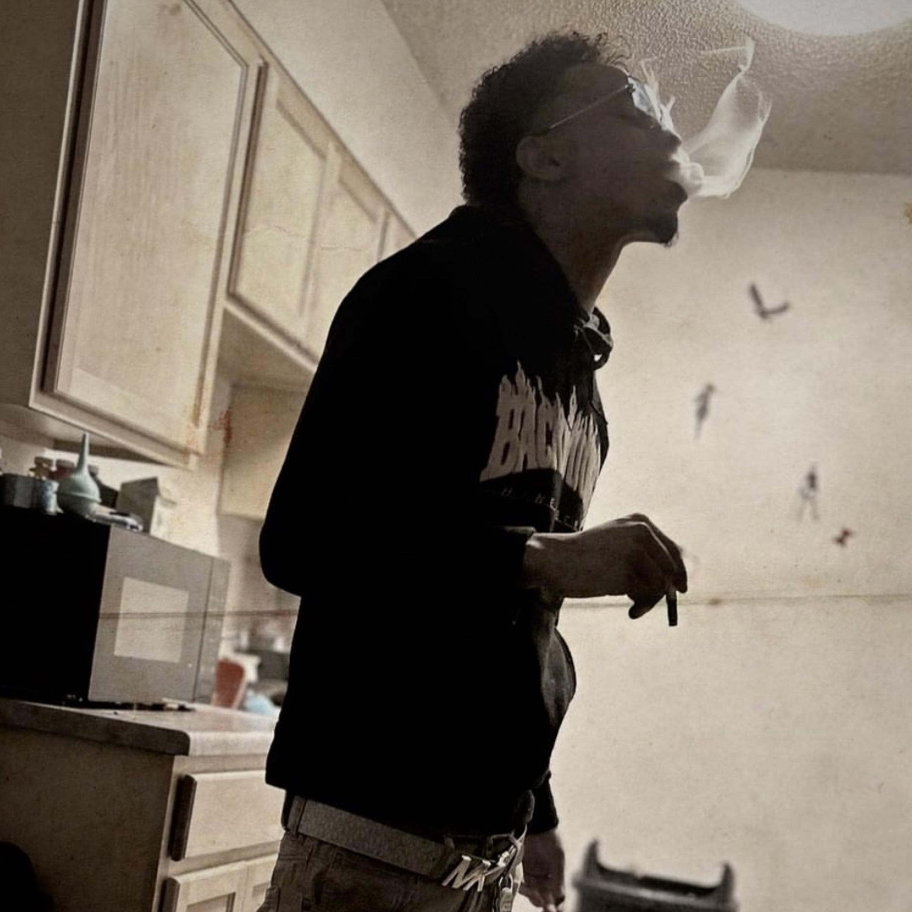 THE WORLD IS FAKE (Freestyle) artwork