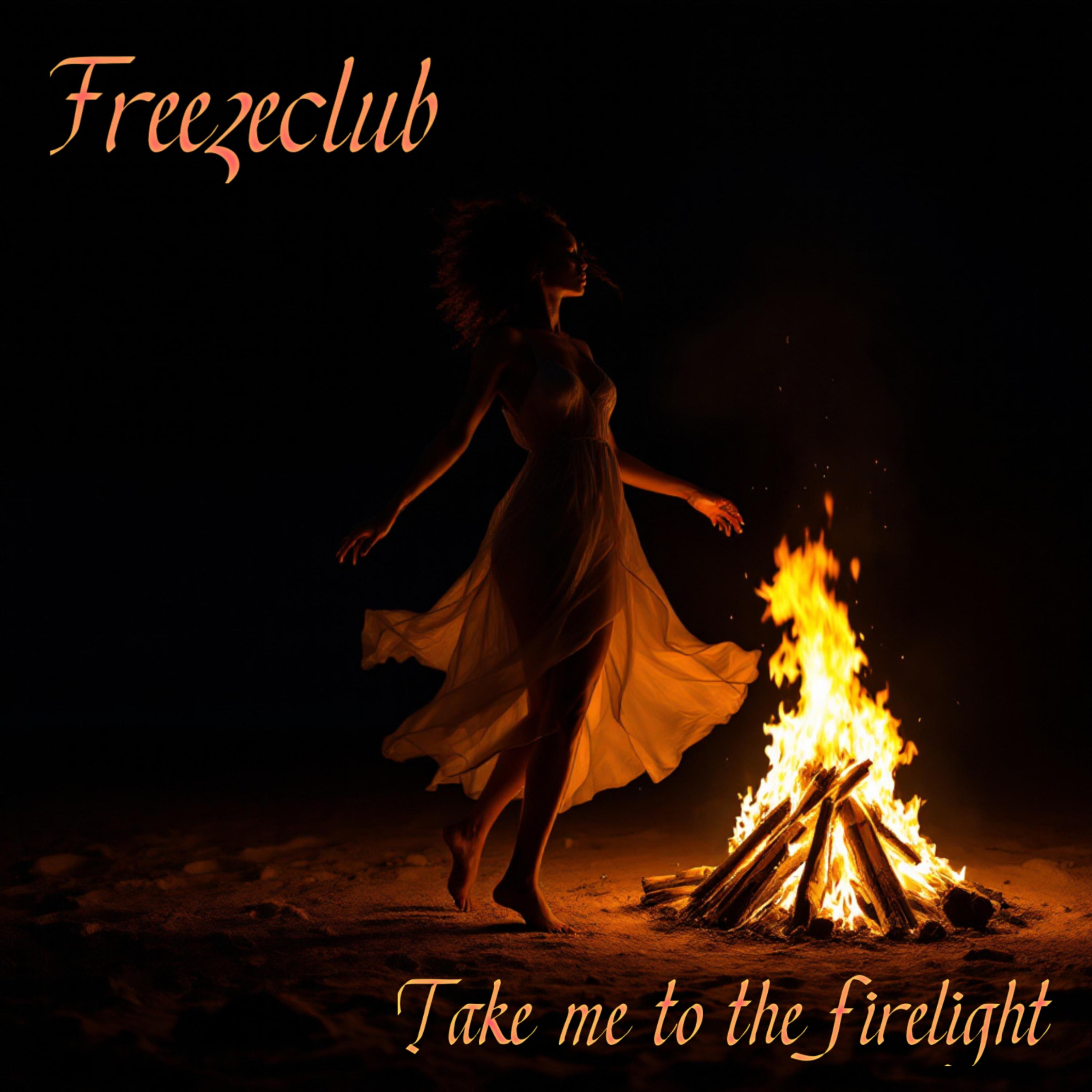 Take me to the Firelight artwork