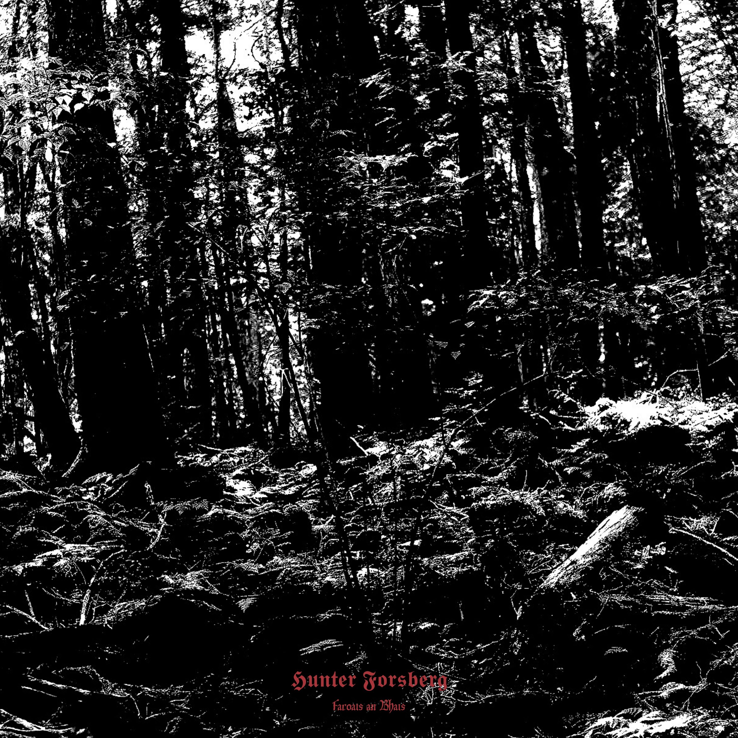 Faroais an Bhais artwork