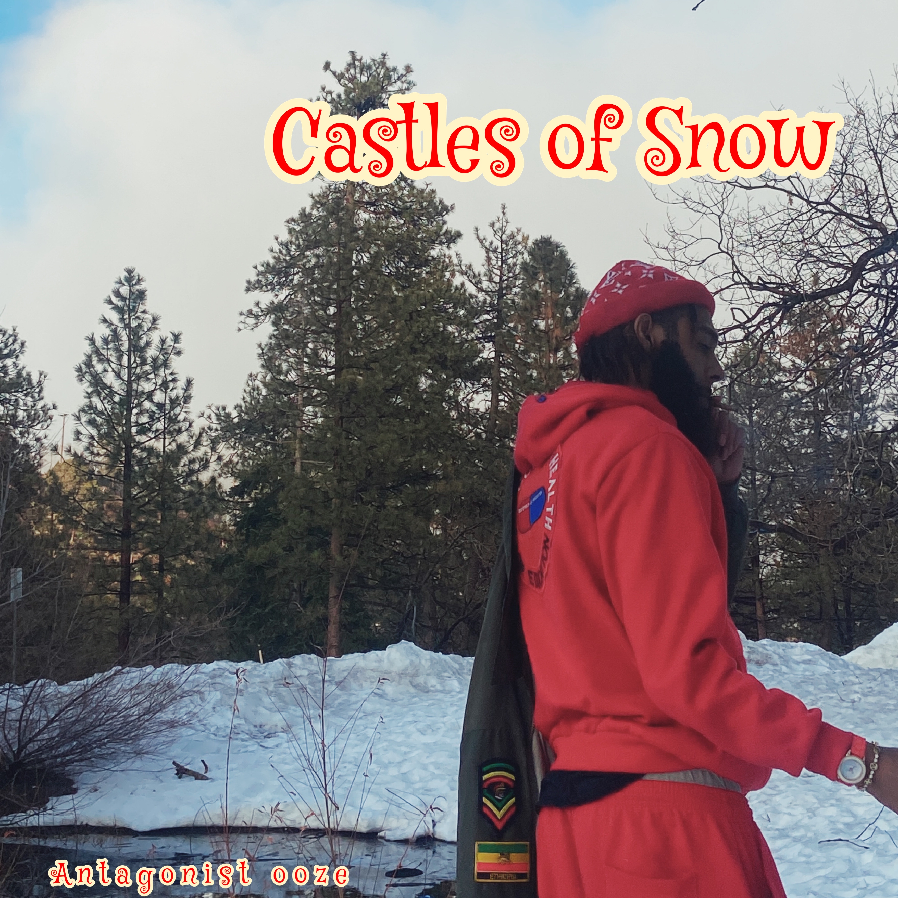 Castles Of Snow Melt artwork