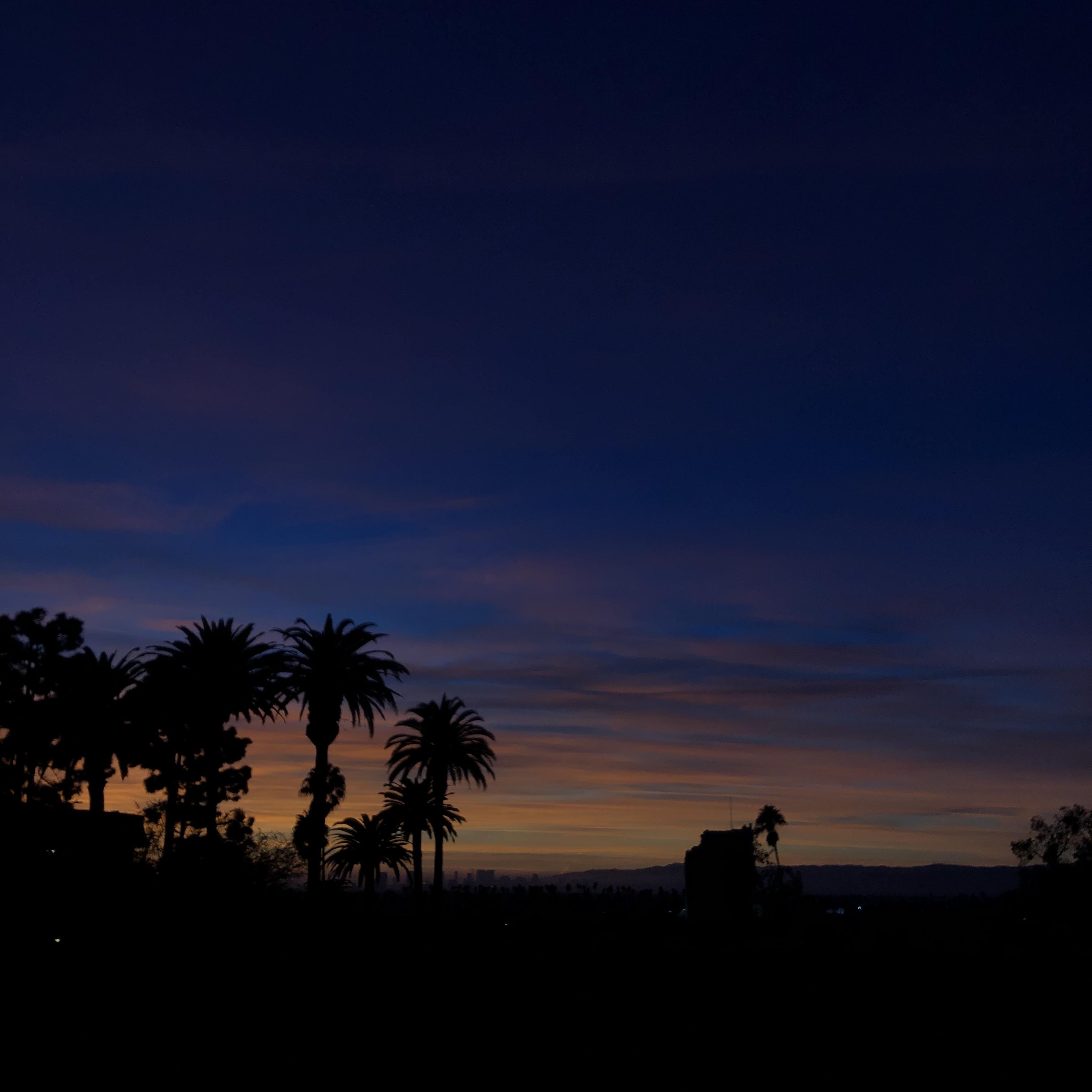 505 artwork