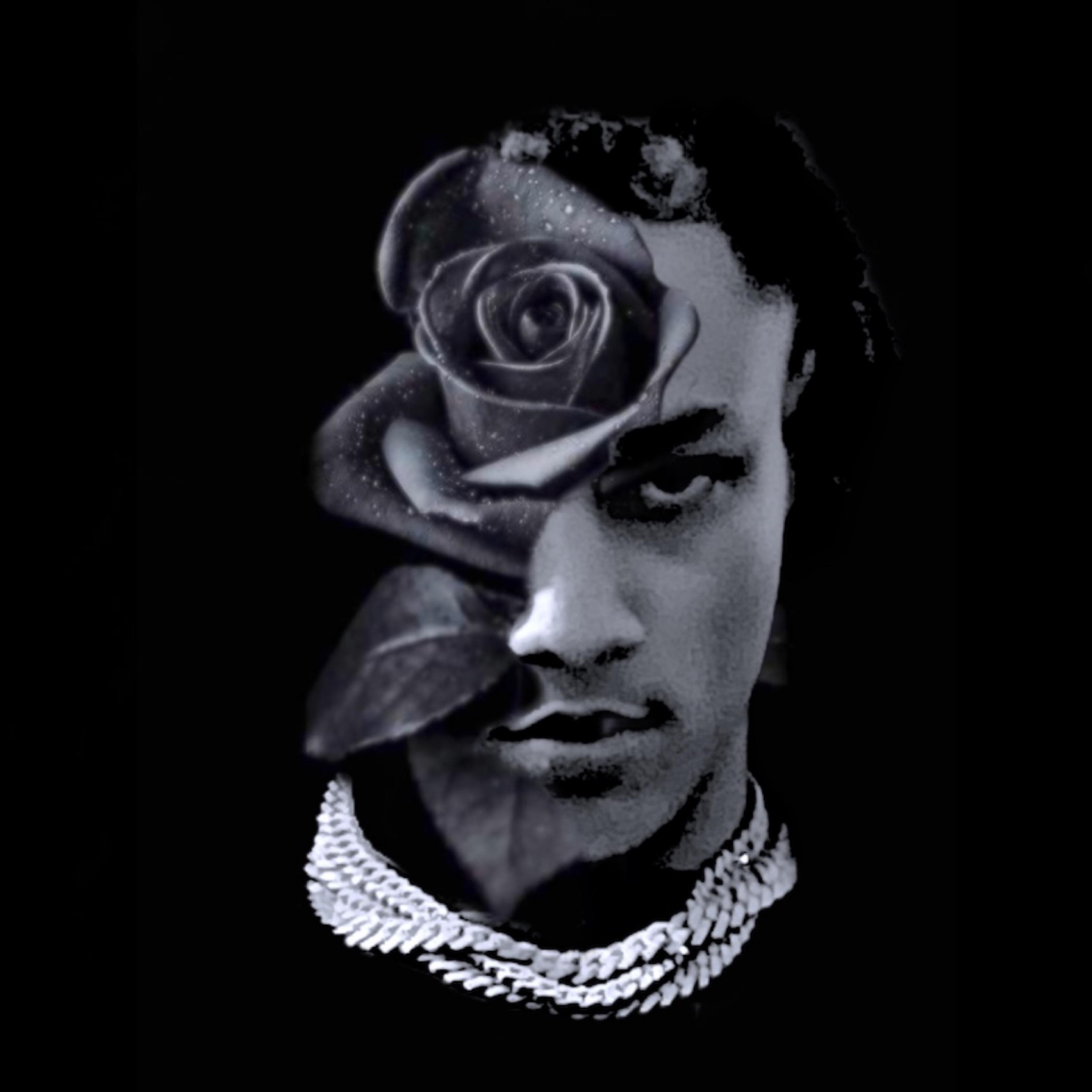 DARK ROSE artwork