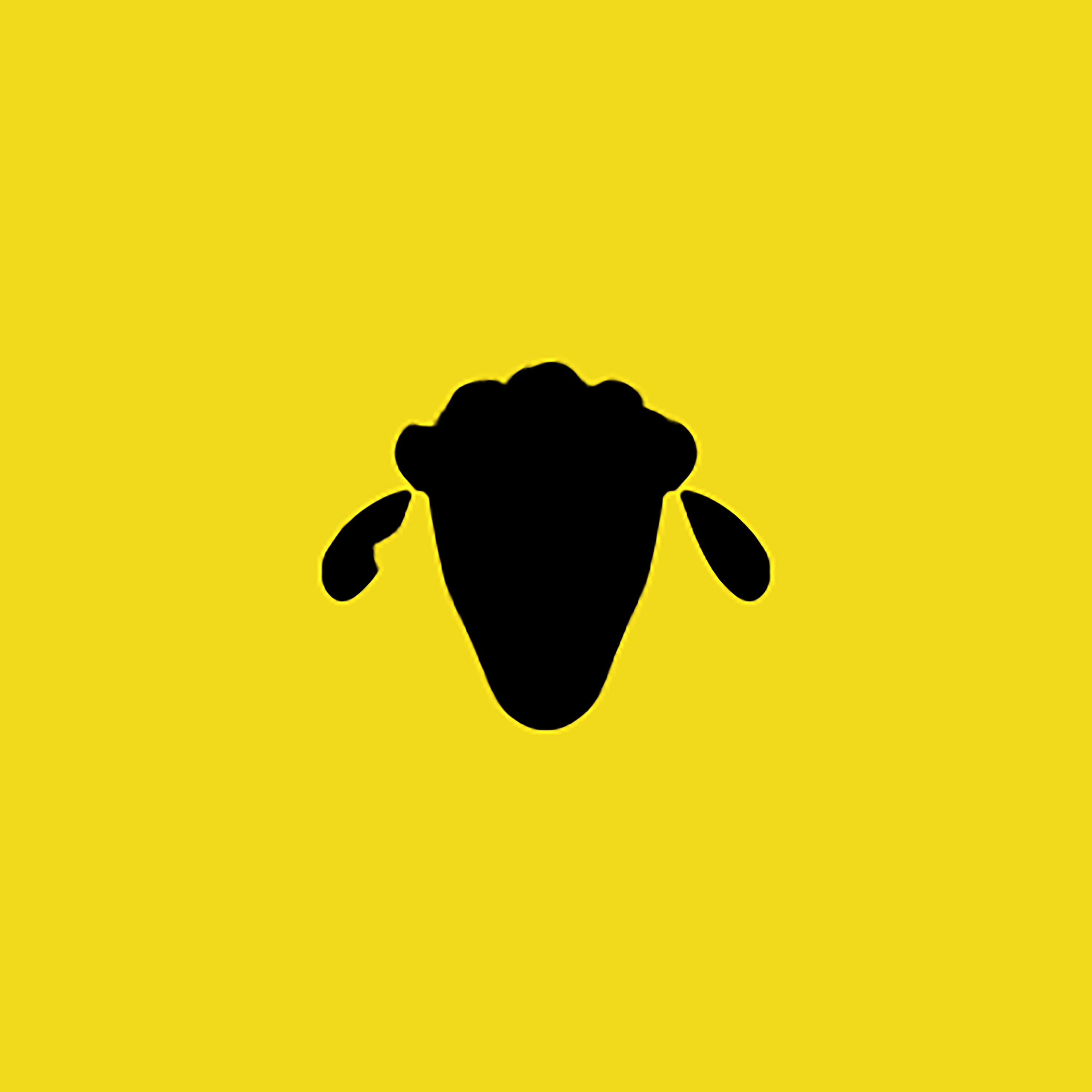SHEEP (BAA) artwork