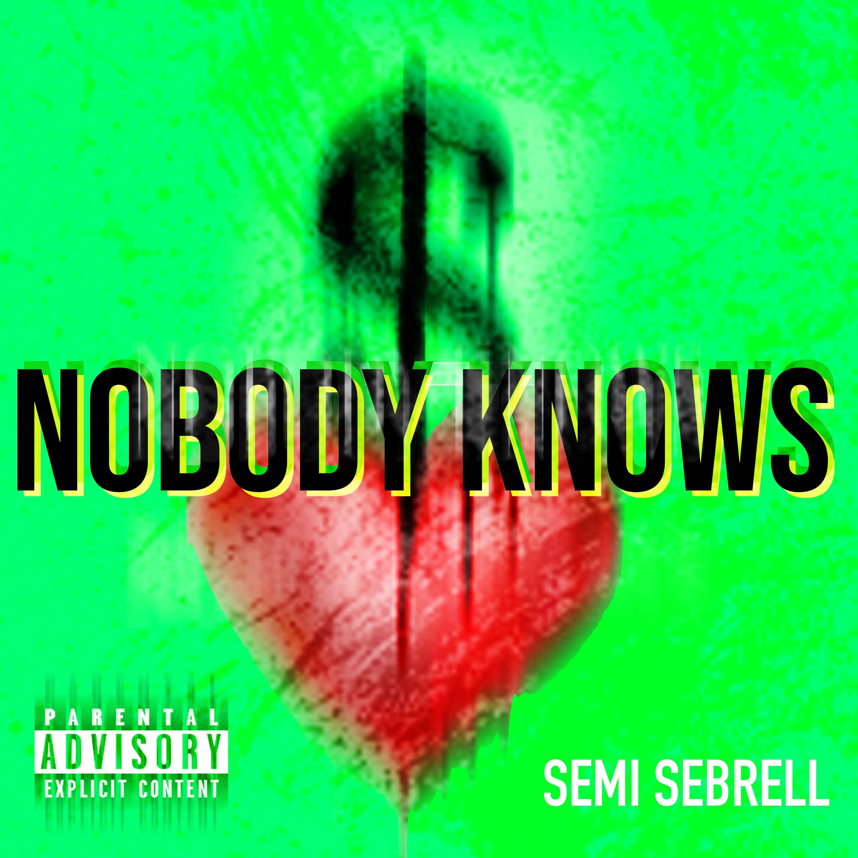 Nobody Knows artwork