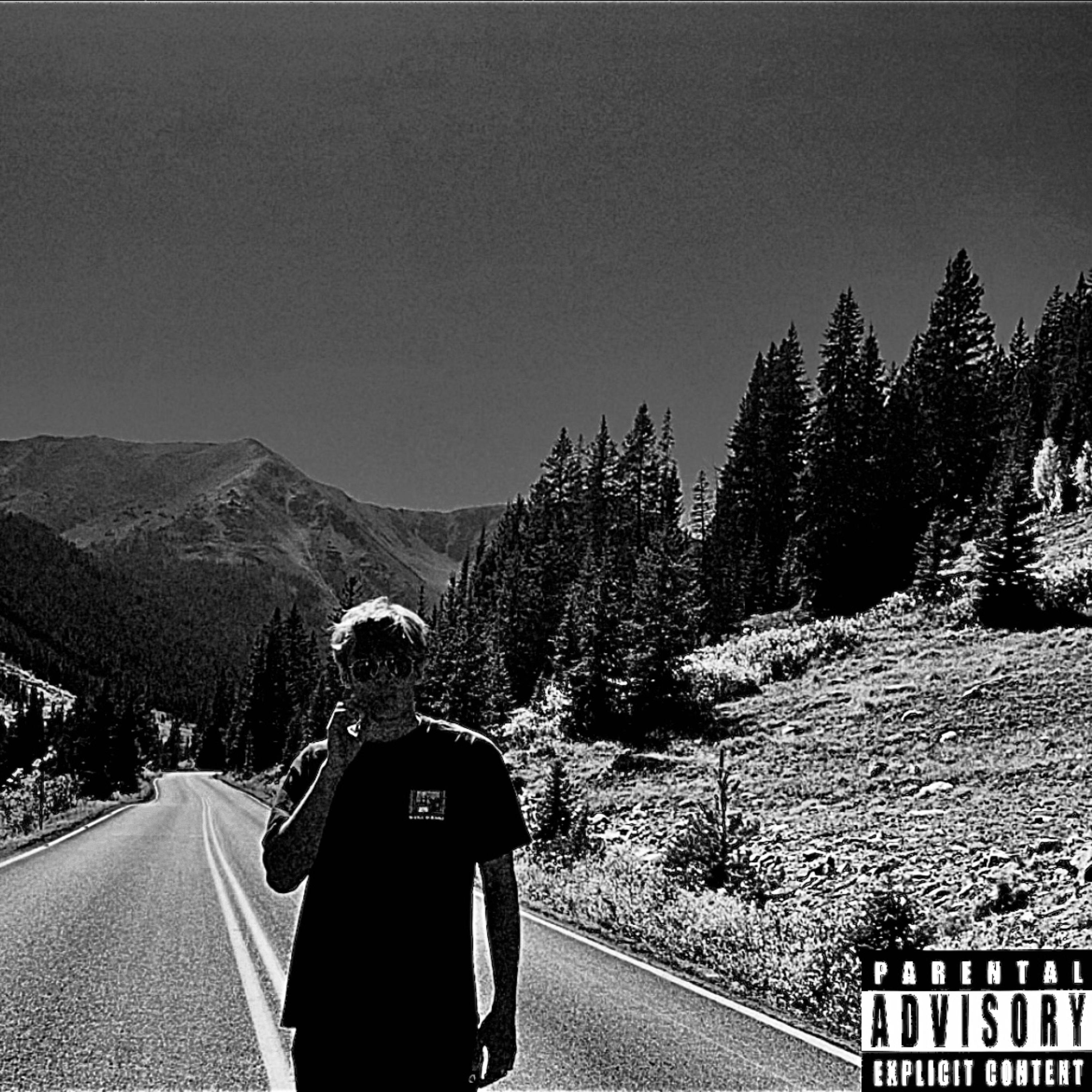 Scarcity of love artwork