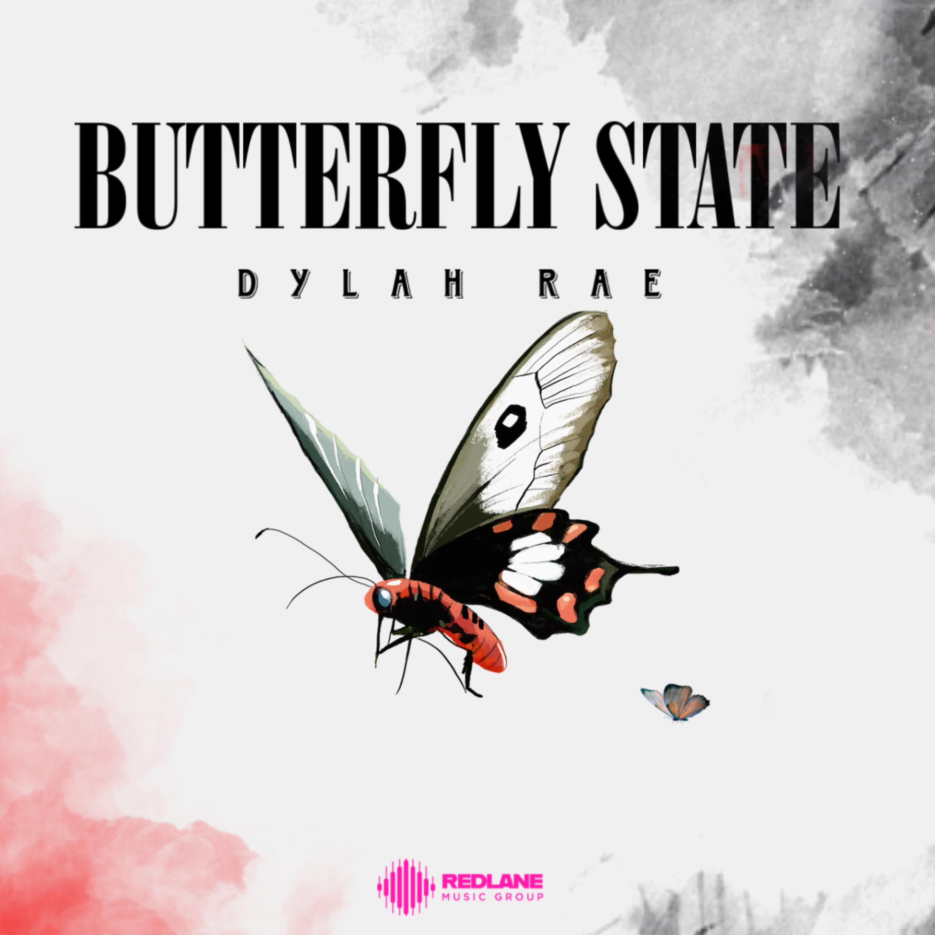 Butterfly State artwork