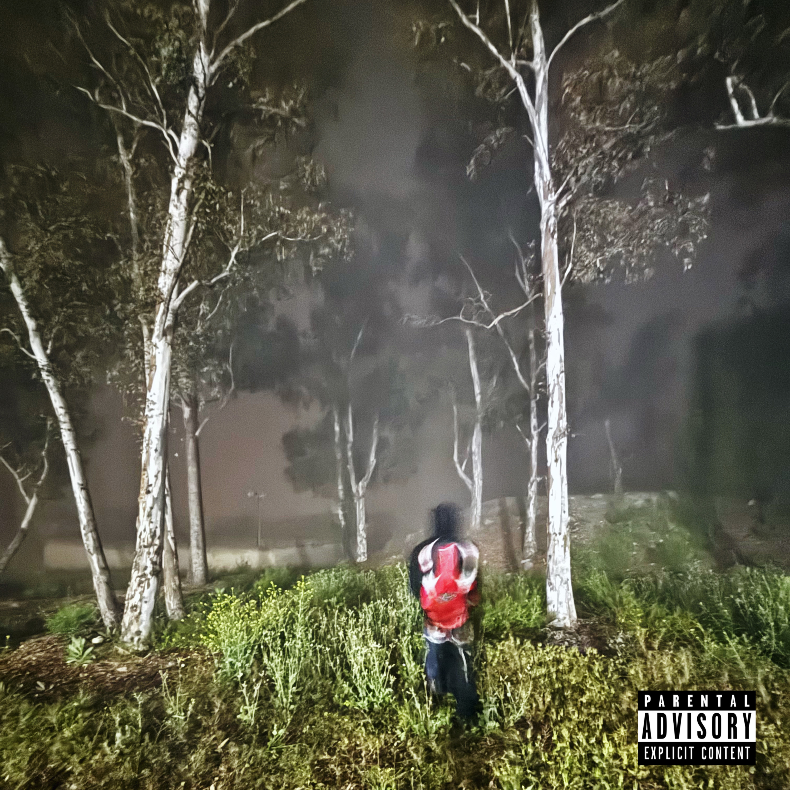 Honest In A World Of Lies artwork