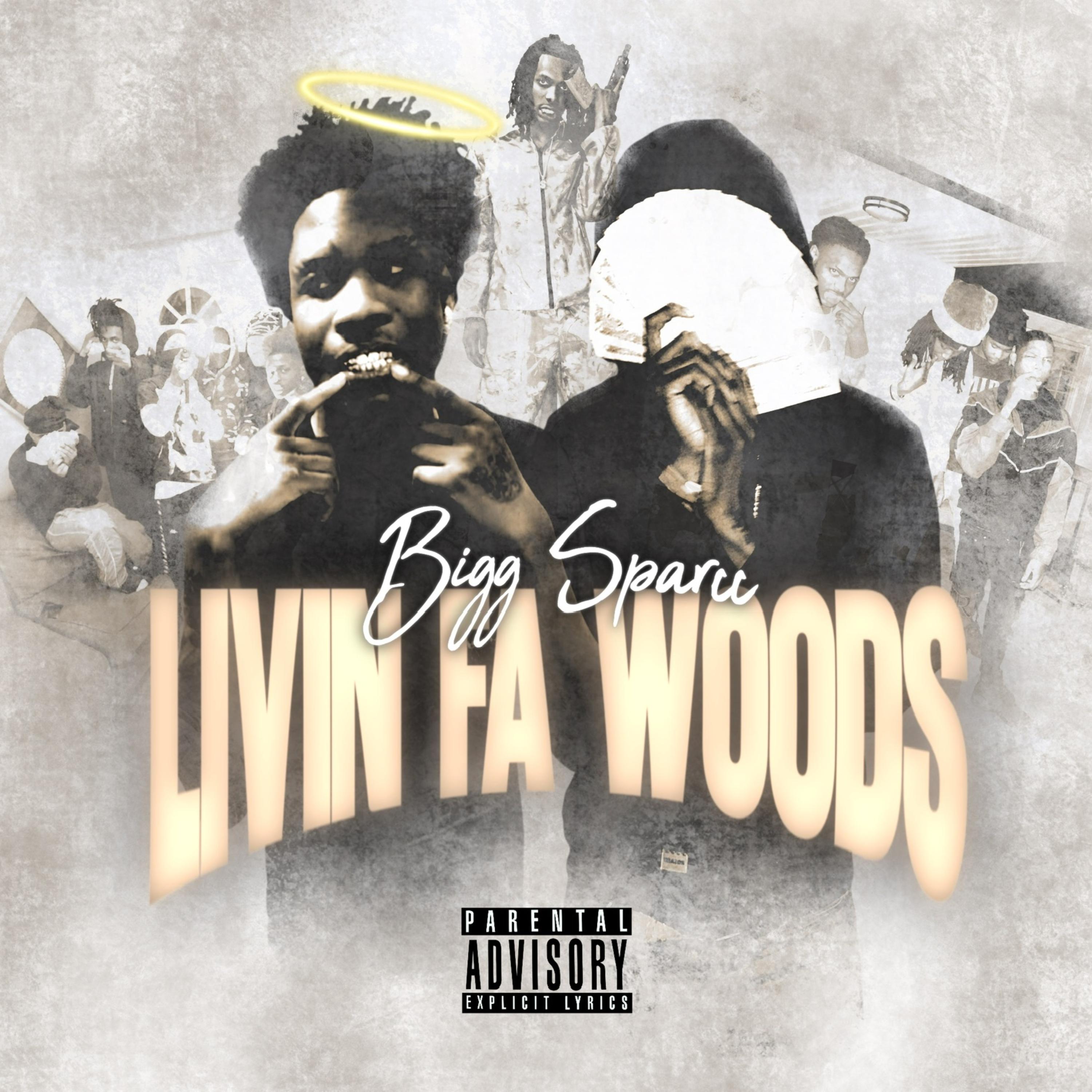 LivinFaWoods artwork