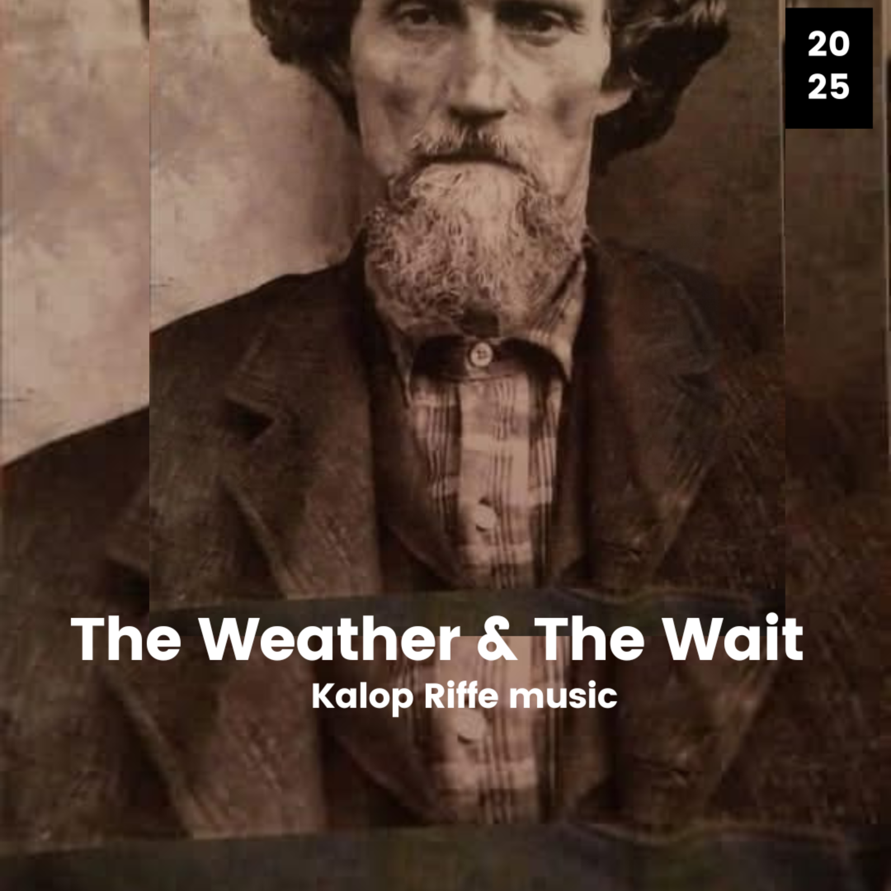 The Weather And The Wait by Kalop Riffe cover art