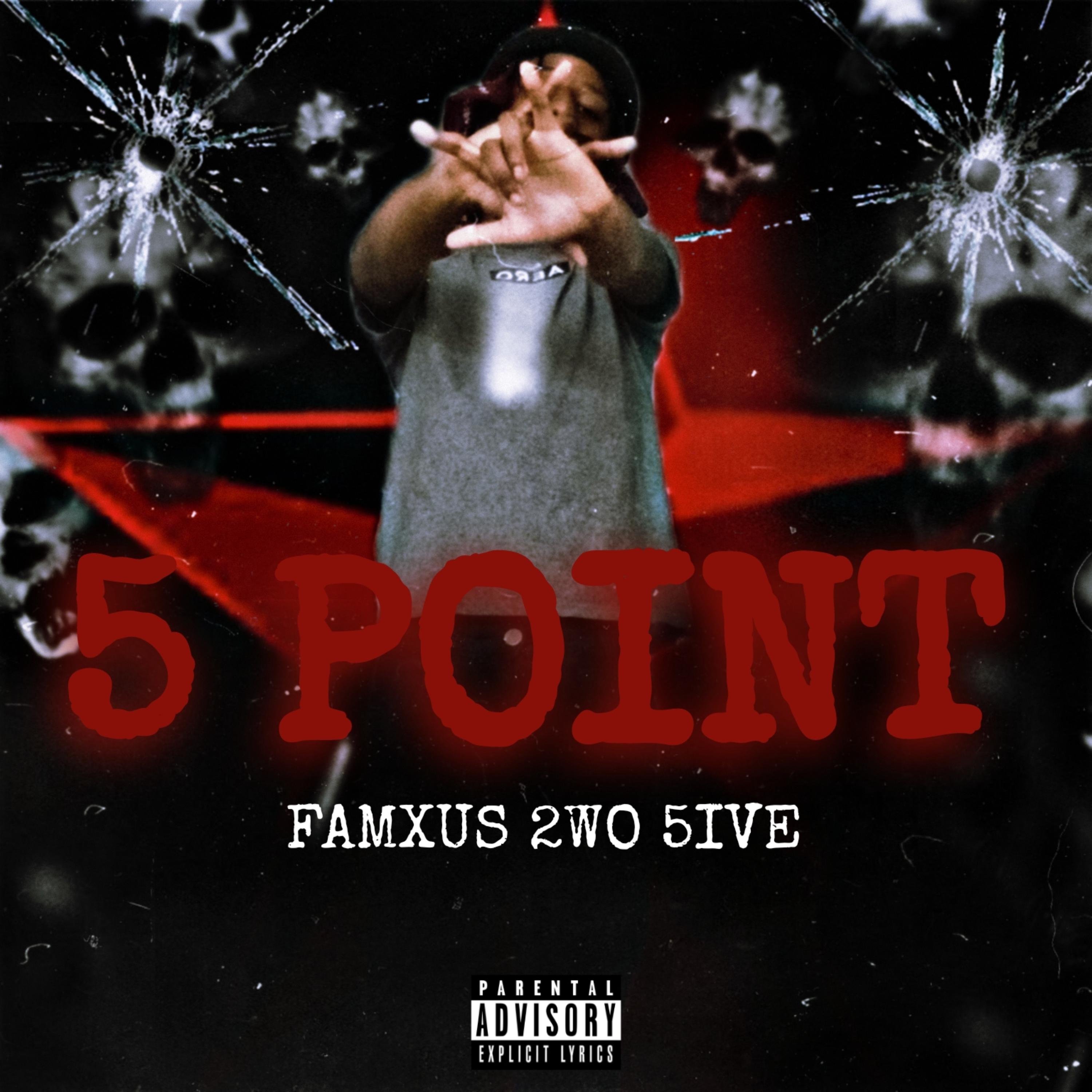 5 Point artwork