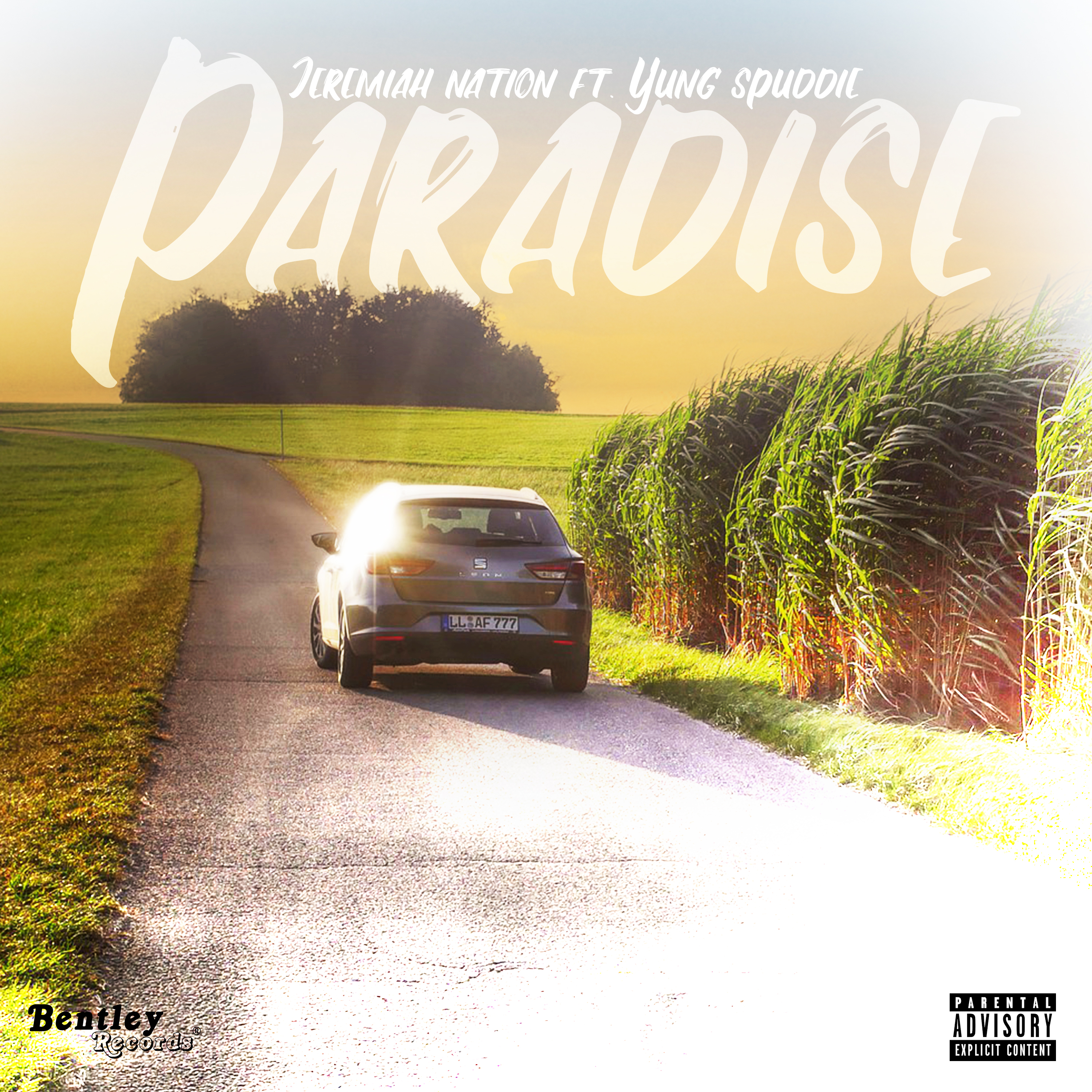 Paradise artwork