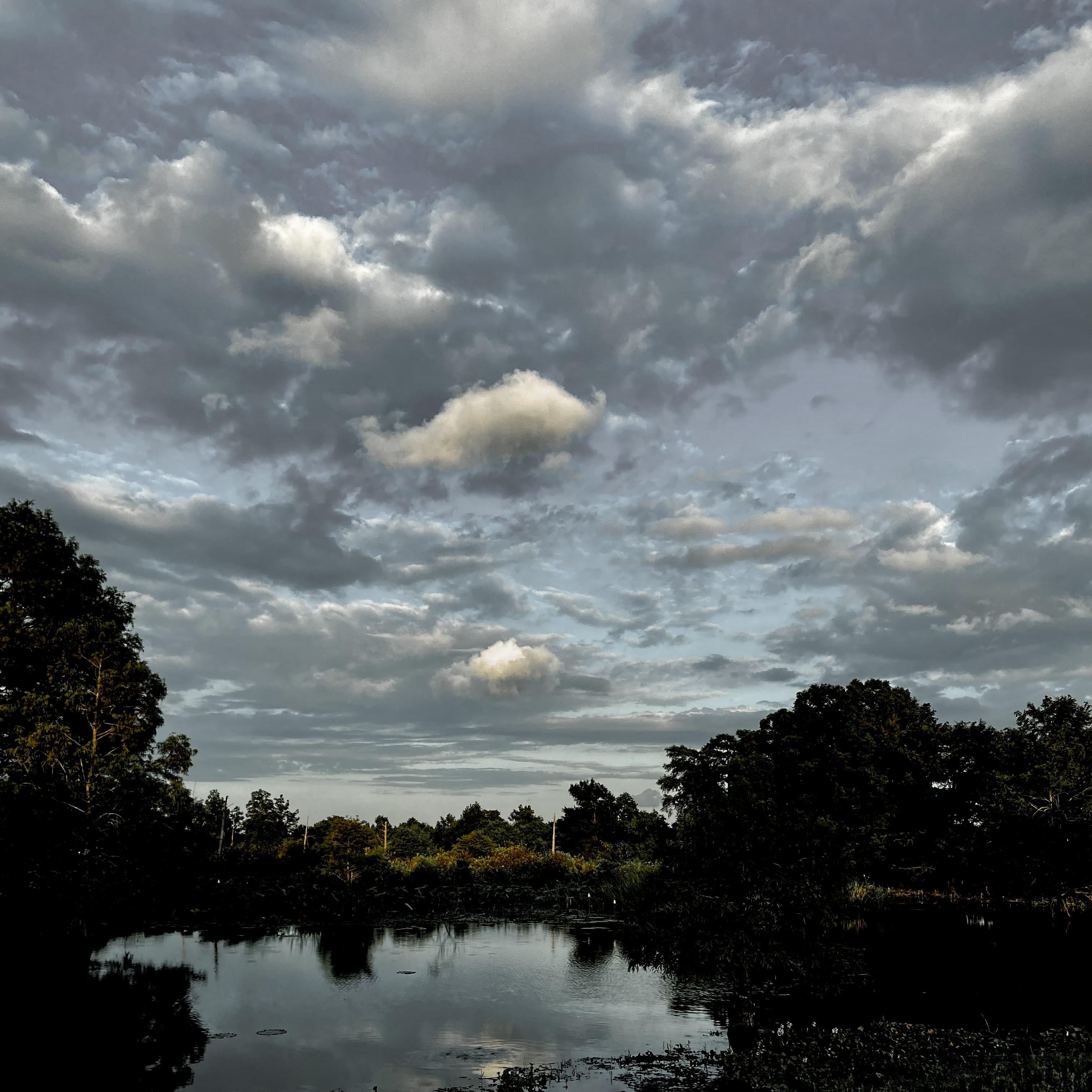 Helping Hand artwork