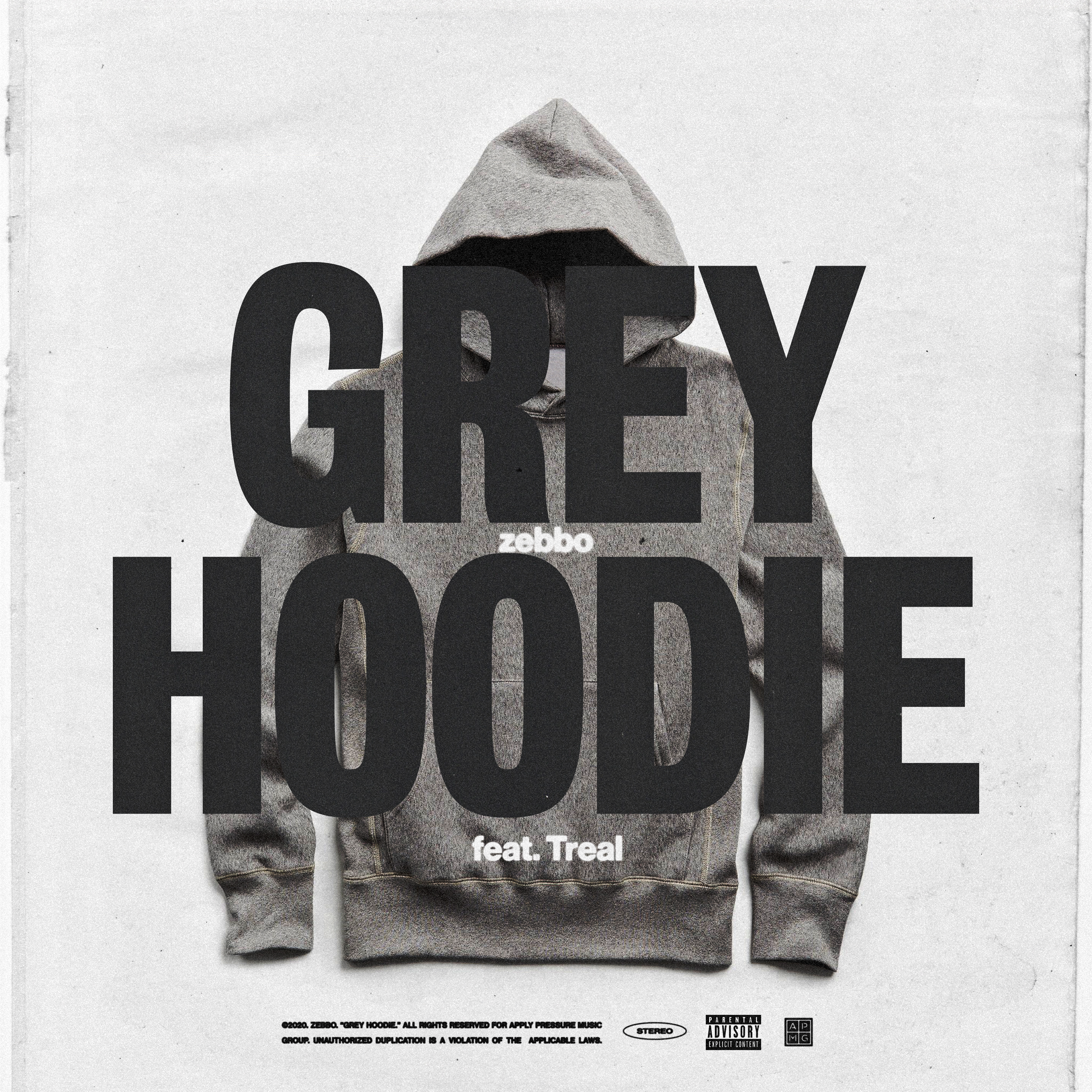 Grey Hoodie artwork