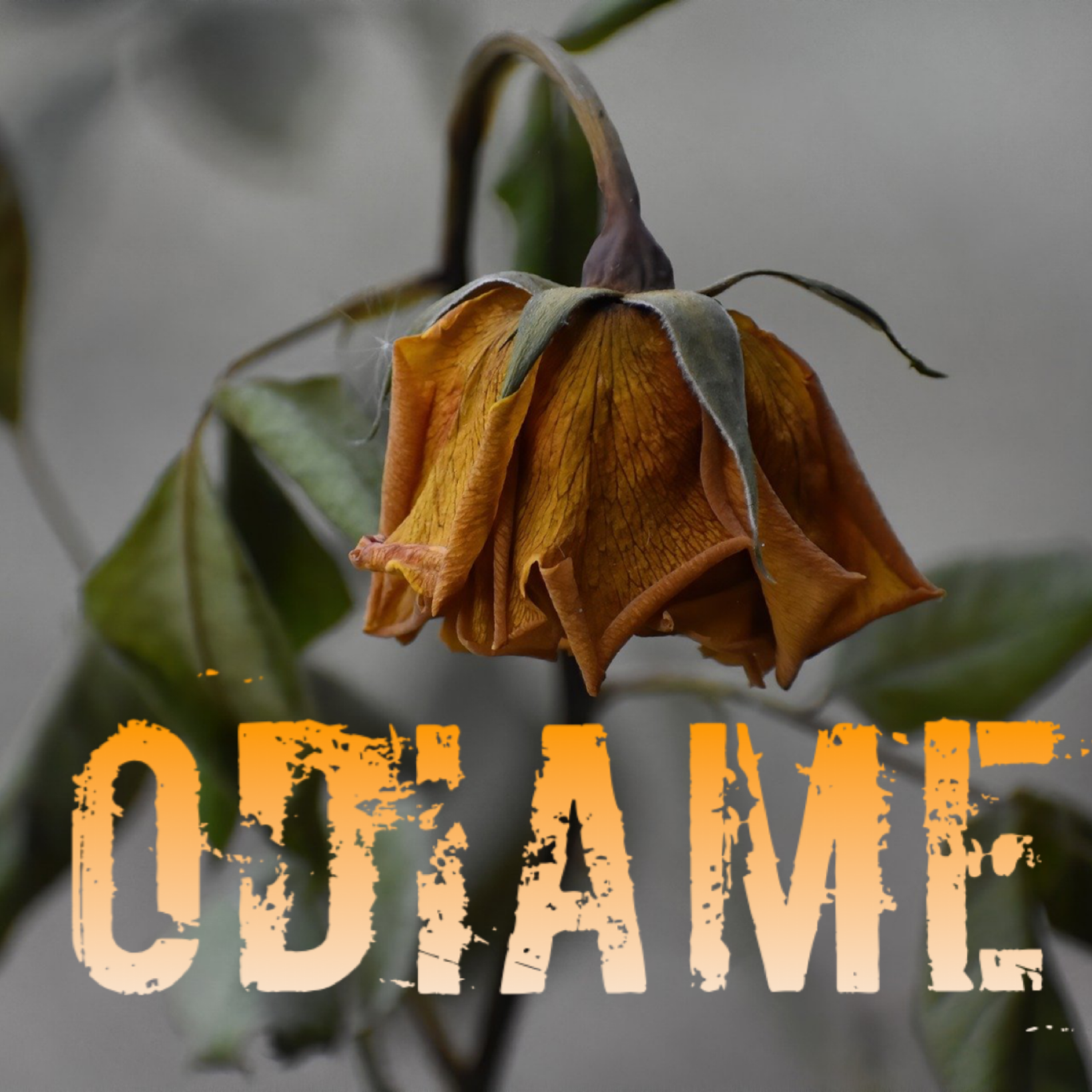 Odiame artwork