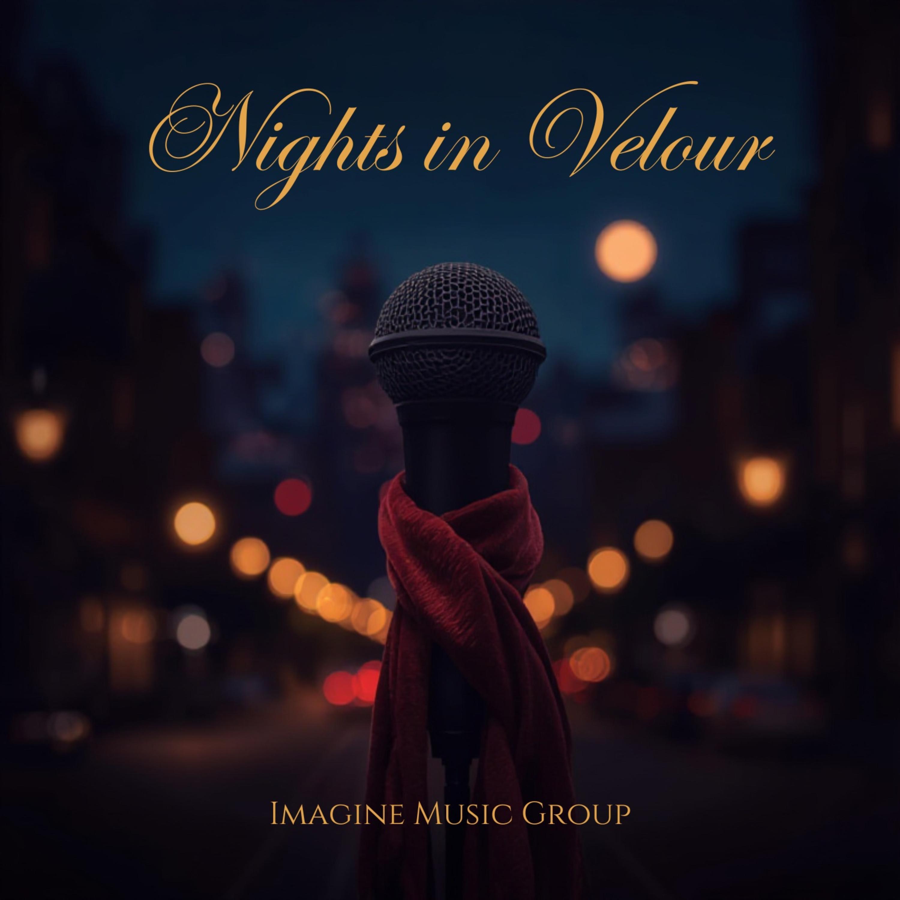 NIGHTS IN VELOUR artwork