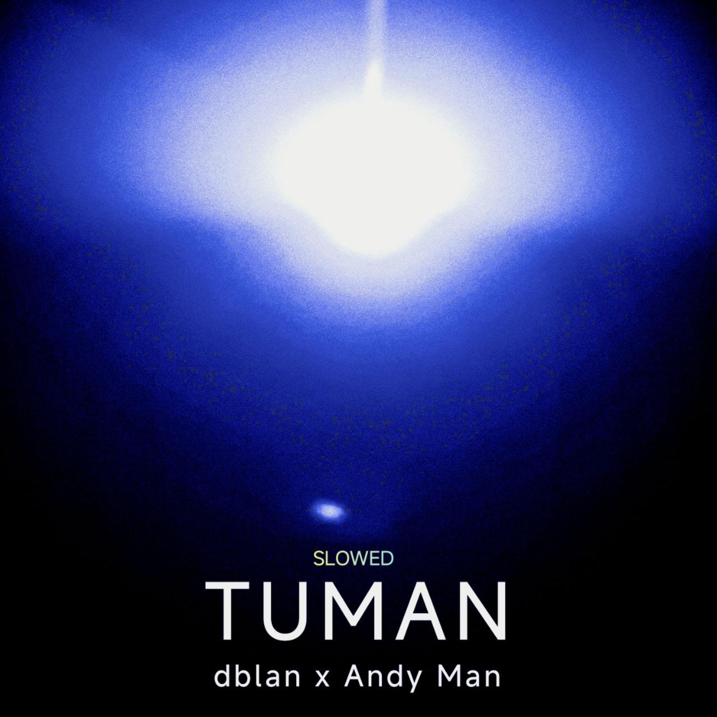 TUMAN (Slowed) artwork