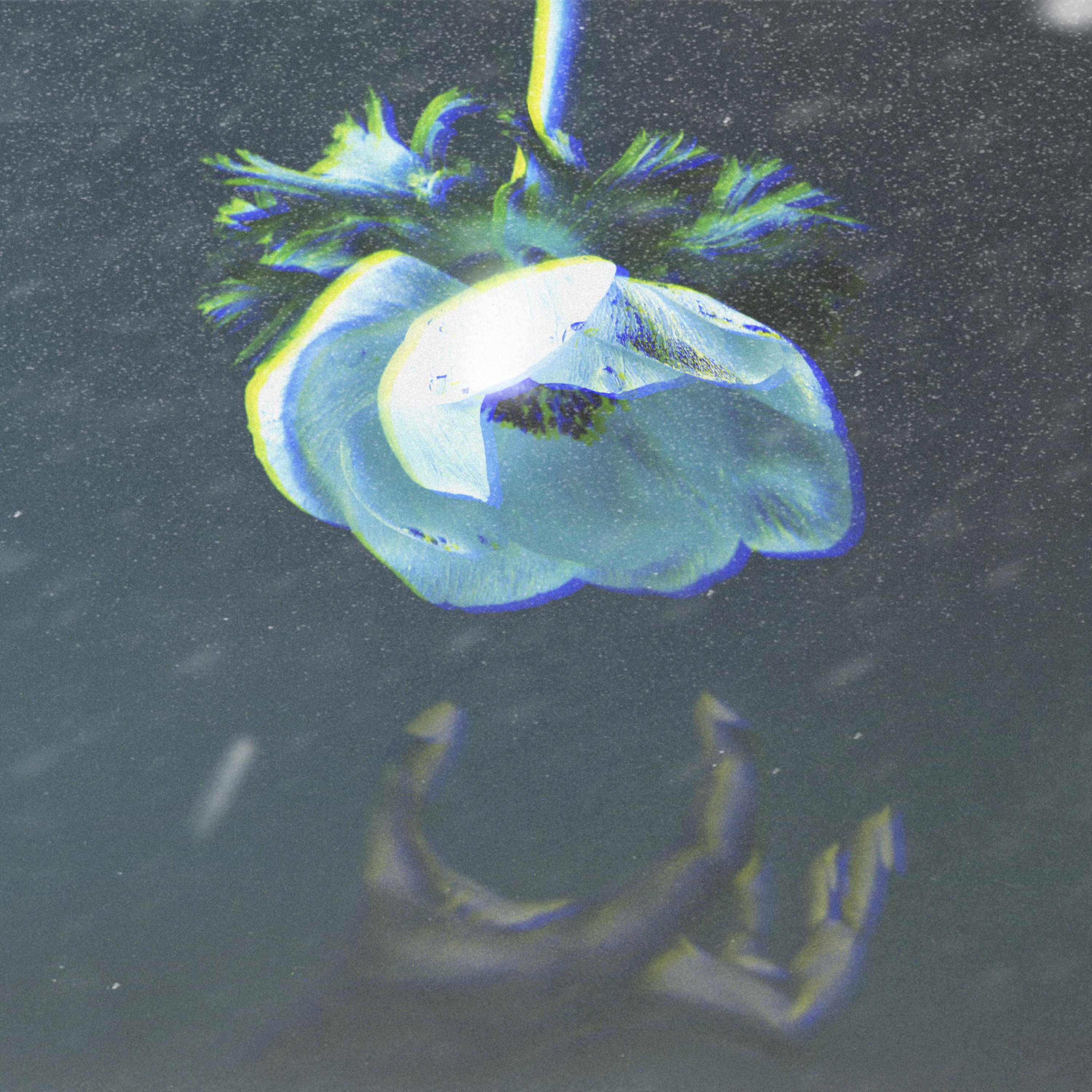 Stranger Love artwork