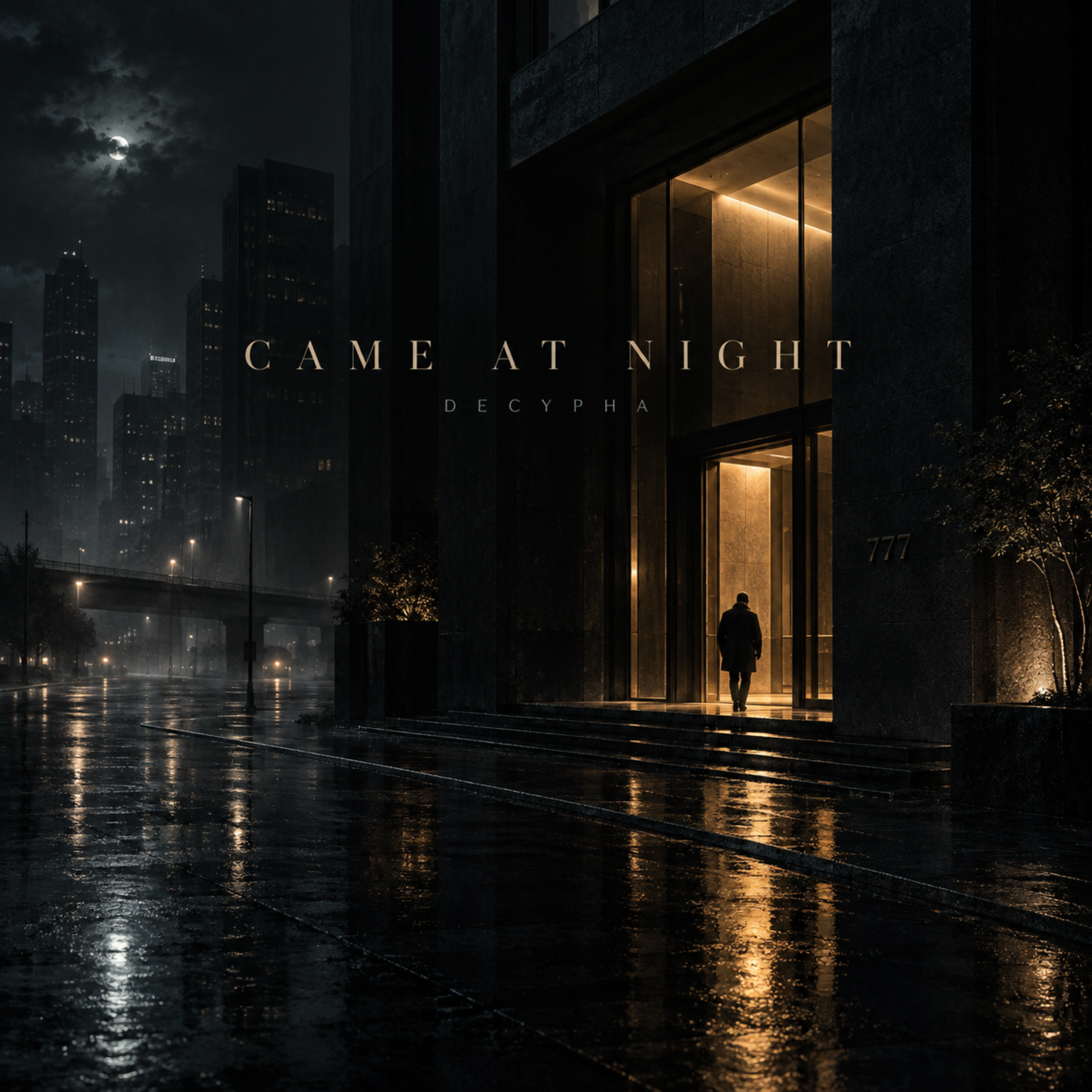Came At Night by Decypha cover art